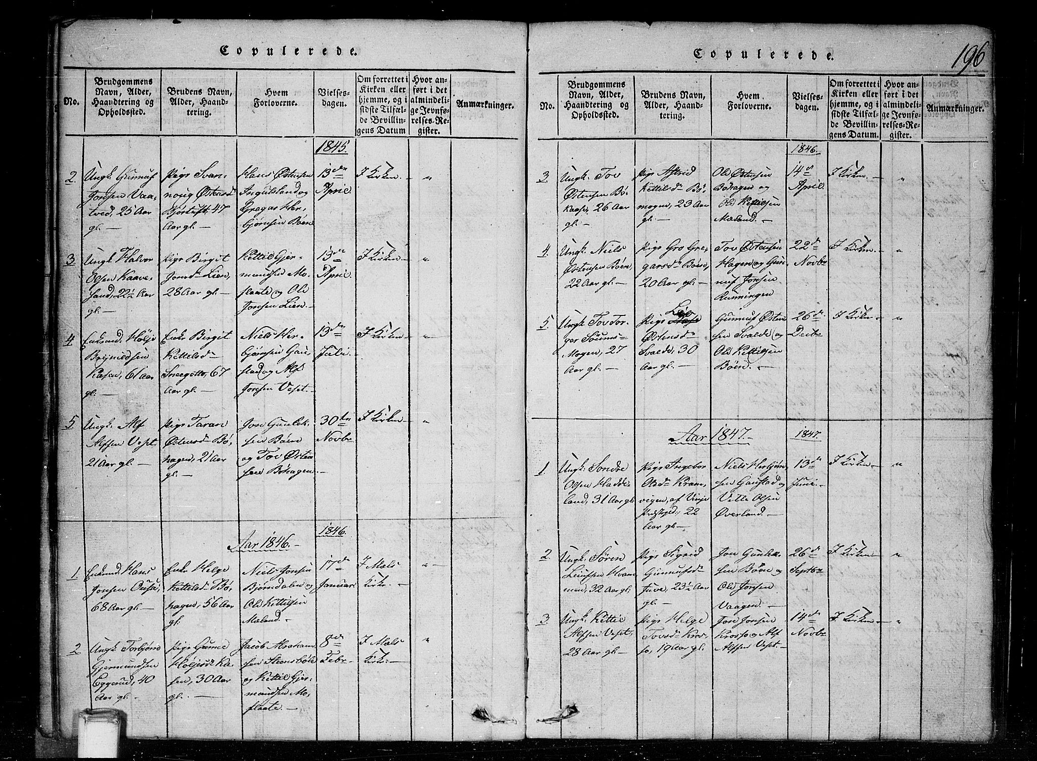 Tinn kirkebøker, SAKO/A-308/G/Gc/L0001: Parish register (copy) no. III 1, 1815-1879, p. 196