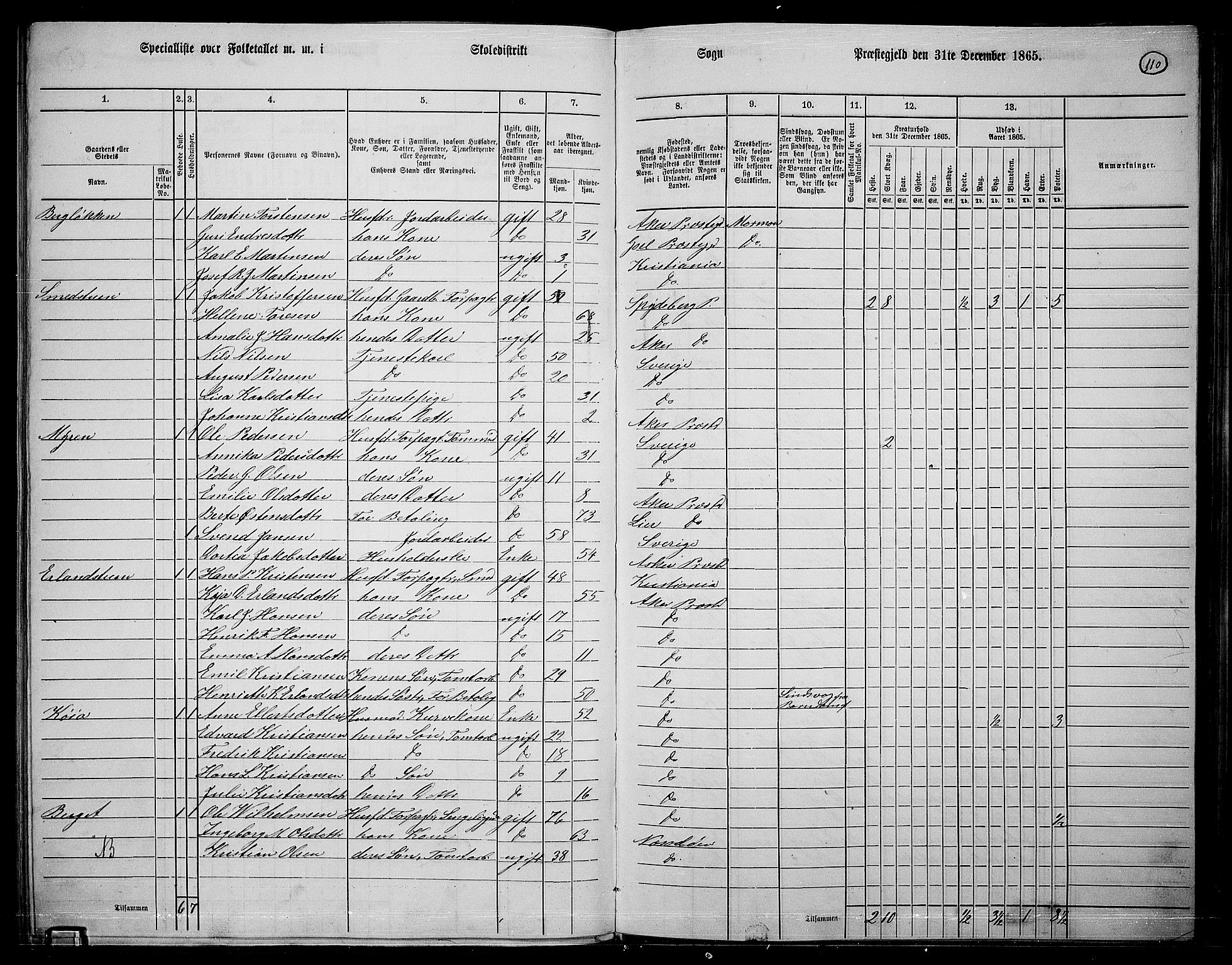 RA, 1865 census for Østre Aker, 1865, p. 334