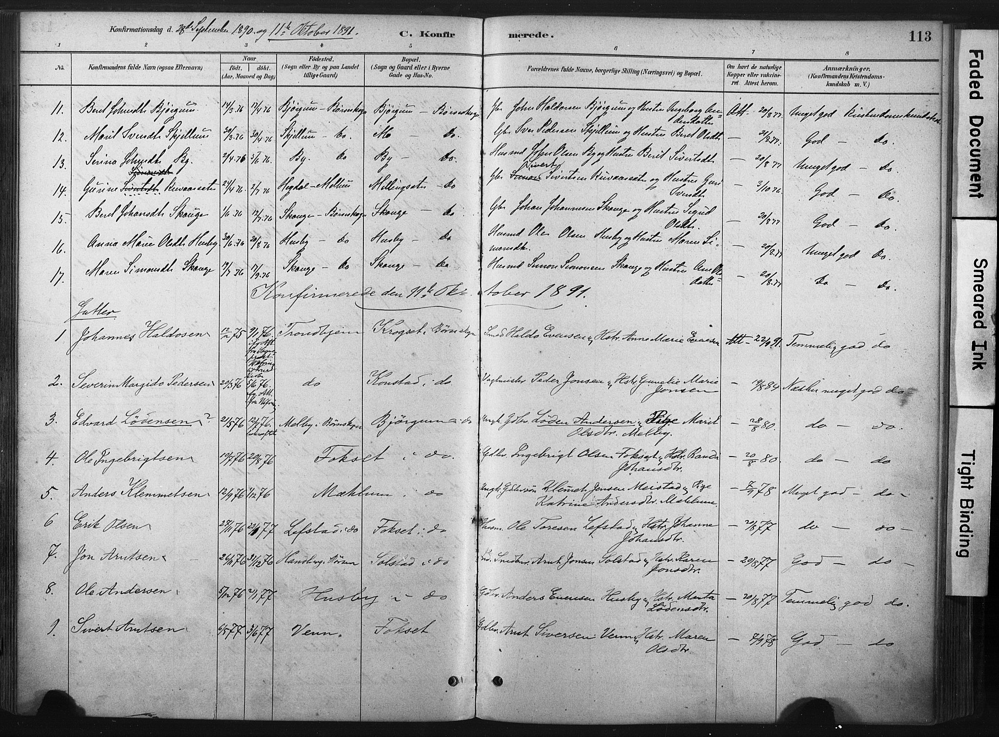 Ministerialprotokoller, klokkerbøker og fødselsregistre - Sør-Trøndelag, SAT/A-1456/667/L0795: Parish register (official) no. 667A03, 1879-1907, p. 113