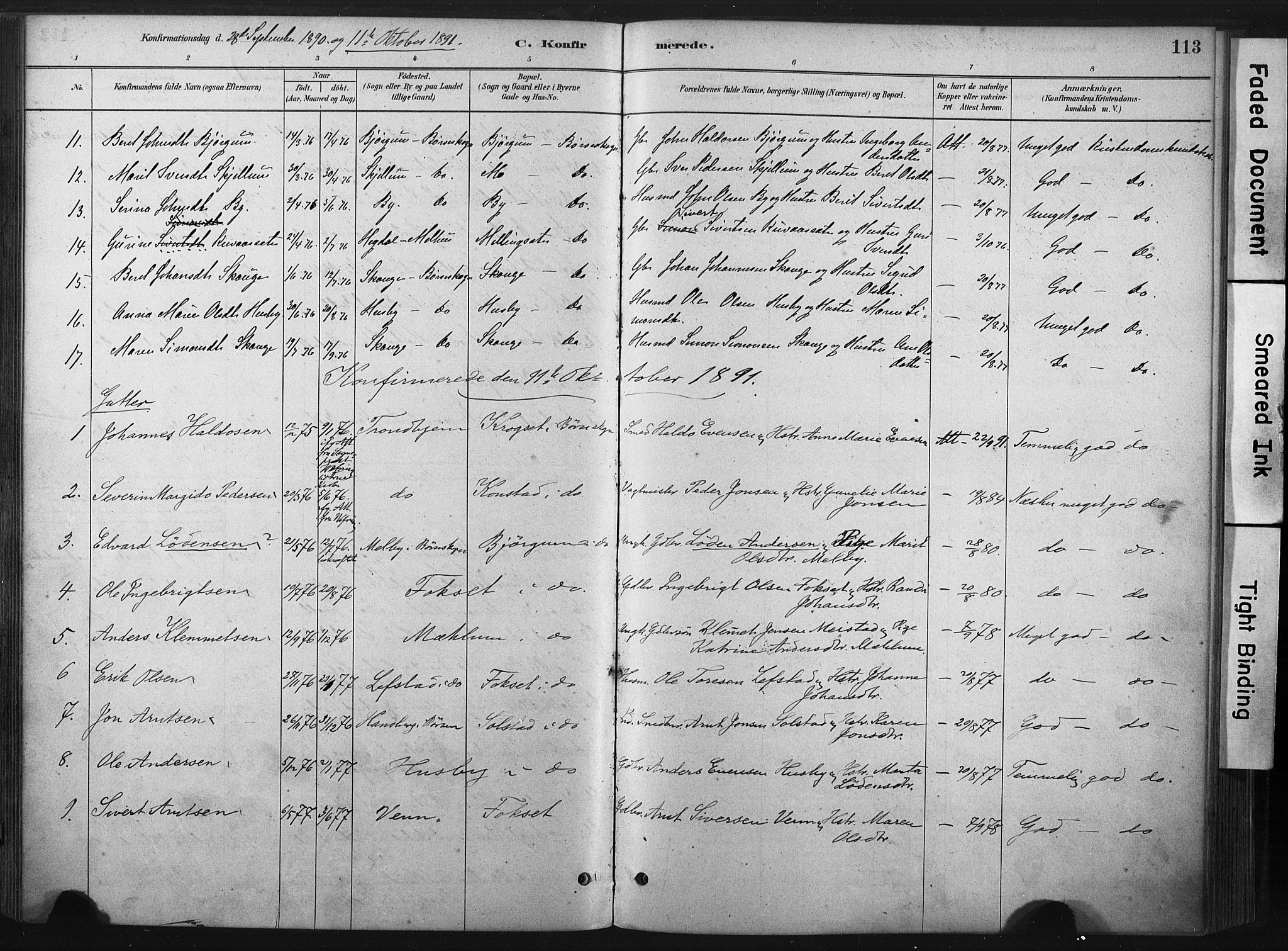 Ministerialprotokoller, klokkerbøker og fødselsregistre - Sør-Trøndelag, AV/SAT-A-1456/667/L0795: Parish register (official) no. 667A03, 1879-1907, p. 113