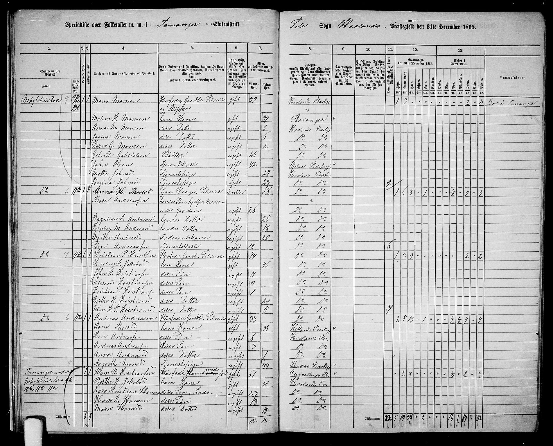 RA, 1865 census for Håland, 1865, p. 16