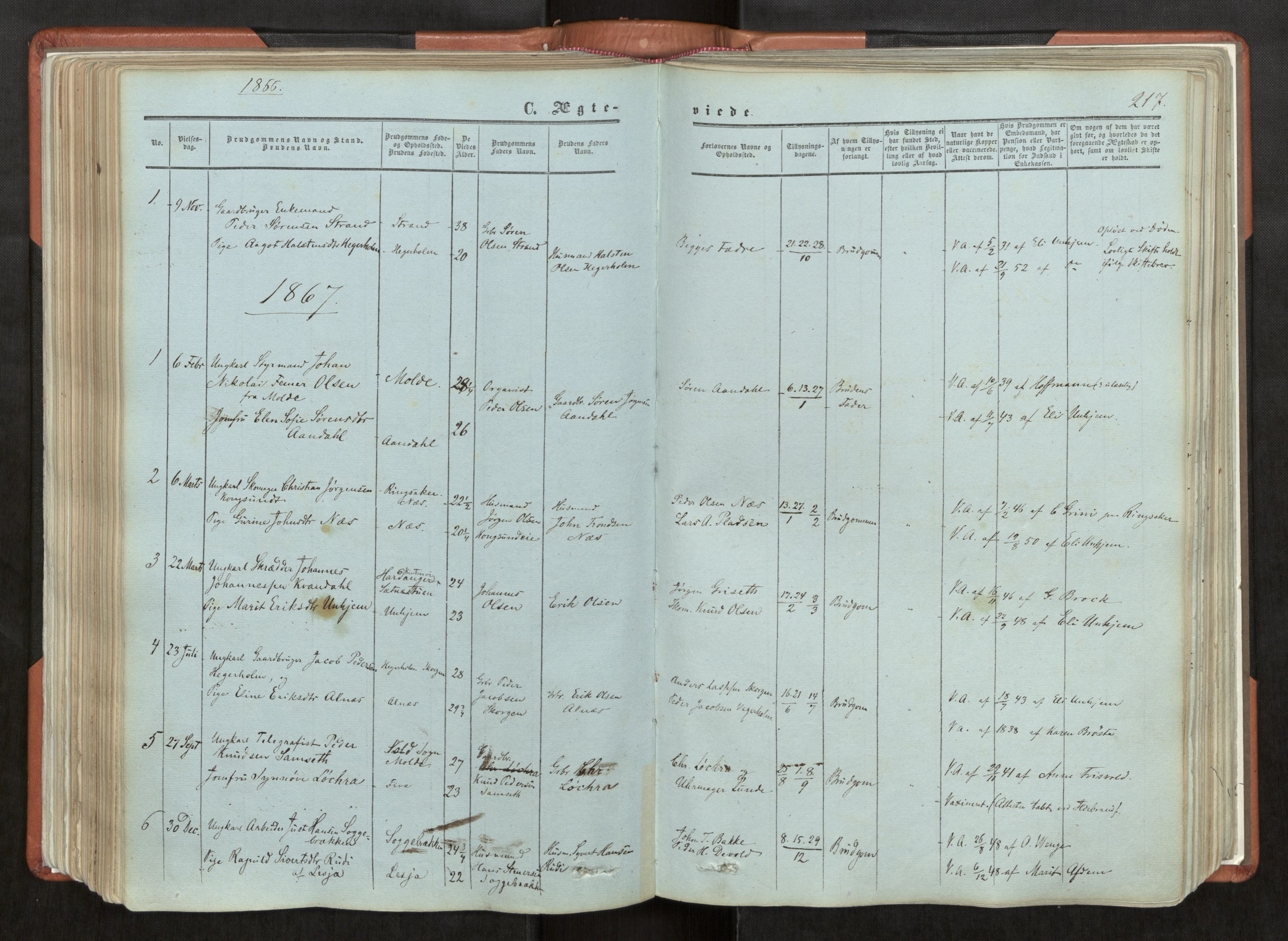 Ministerialprotokoller, klokkerbøker og fødselsregistre - Møre og Romsdal, AV/SAT-A-1454/544/L0572: Parish register (official) no. 544A05, 1854-1886, p. 217