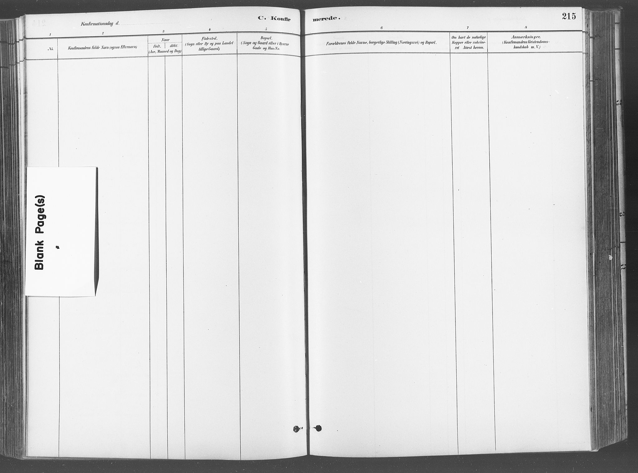 Fredrikstad domkirkes prestekontor Kirkebøker, AV/SAO-A-10906/G/Ga/L0003: Parish register (copy) no. 3, 1880-1900, p. 215