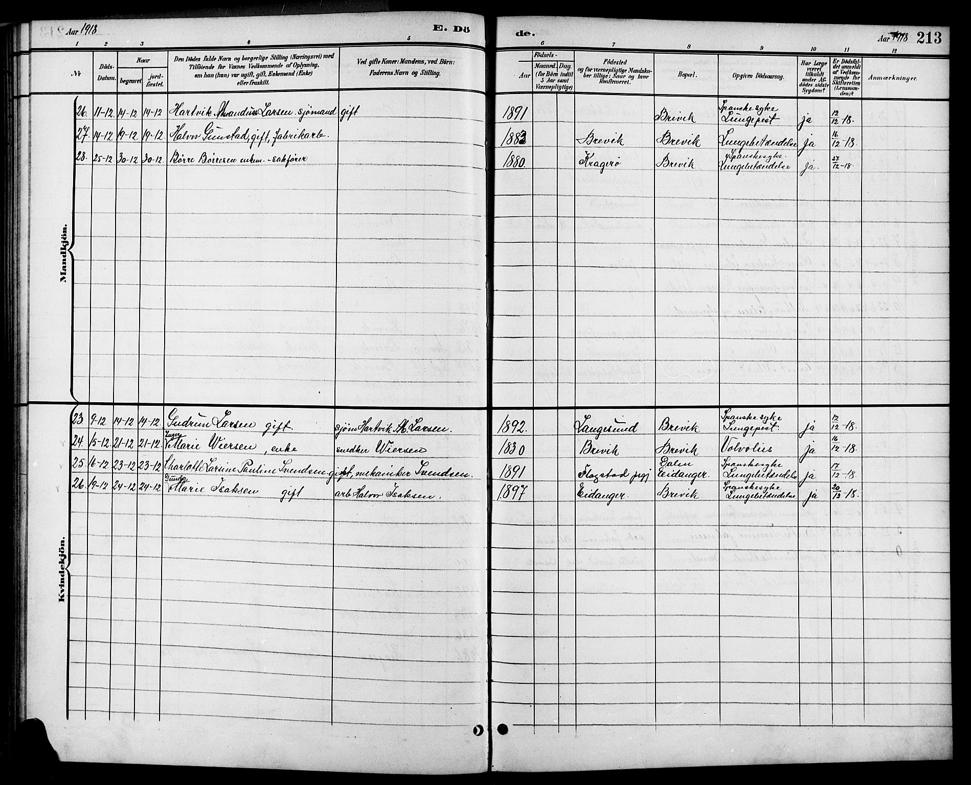 Brevik kirkebøker, AV/SAKO-A-255/G/Ga/L0005: Parish register (copy) no. 5, 1901-1924, p. 213