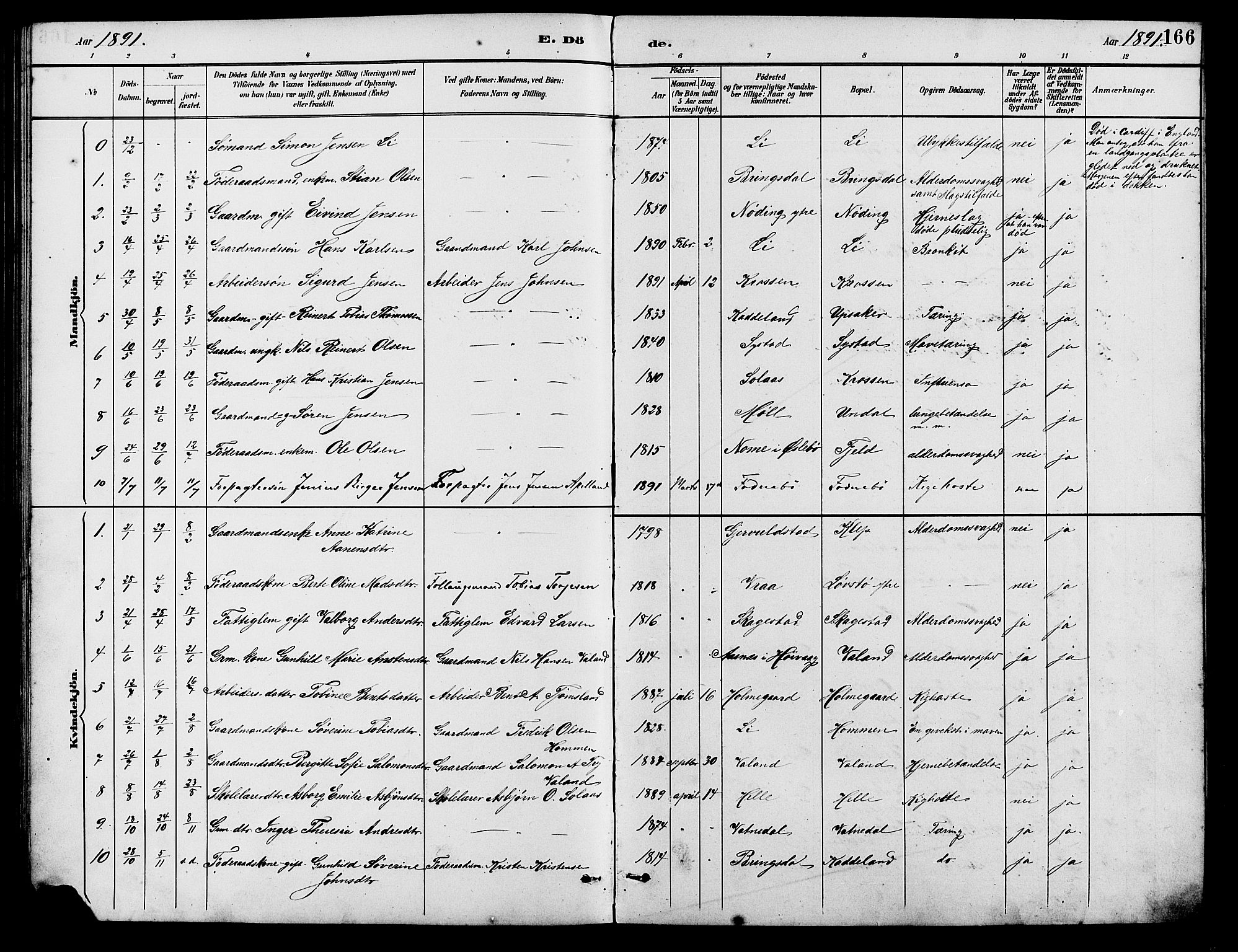 Holum sokneprestkontor, AV/SAK-1111-0022/F/Fb/Fba/L0005: Parish register (copy) no. B 5, 1891-1909, p. 166