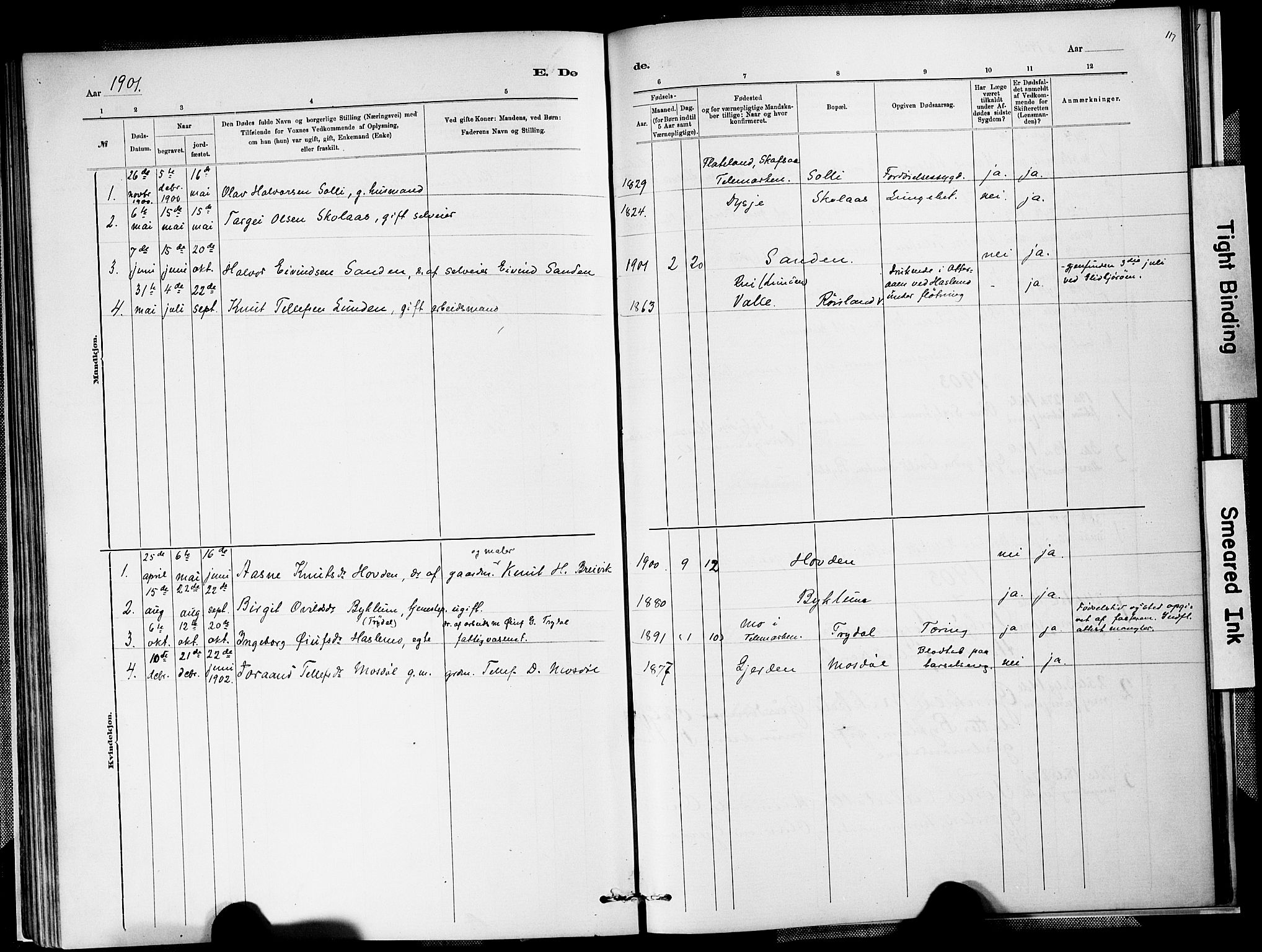 Valle sokneprestkontor, SAK/1111-0044/F/Fa/Faa/L0001: Parish register (official) no. A 1, 1882-1907, p. 117