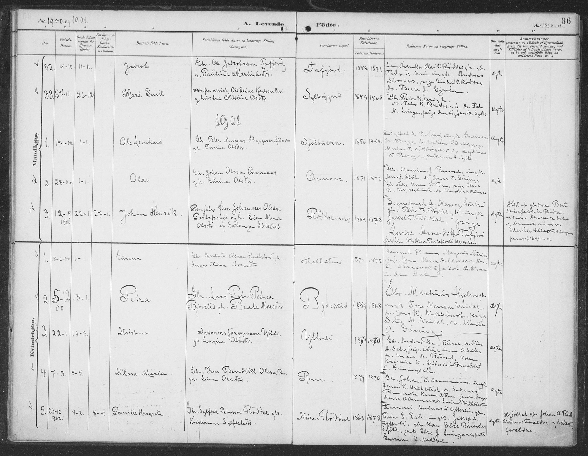 Ministerialprotokoller, klokkerbøker og fødselsregistre - Møre og Romsdal, AV/SAT-A-1454/519/L0256: Parish register (official) no. 519A15, 1895-1912, p. 36