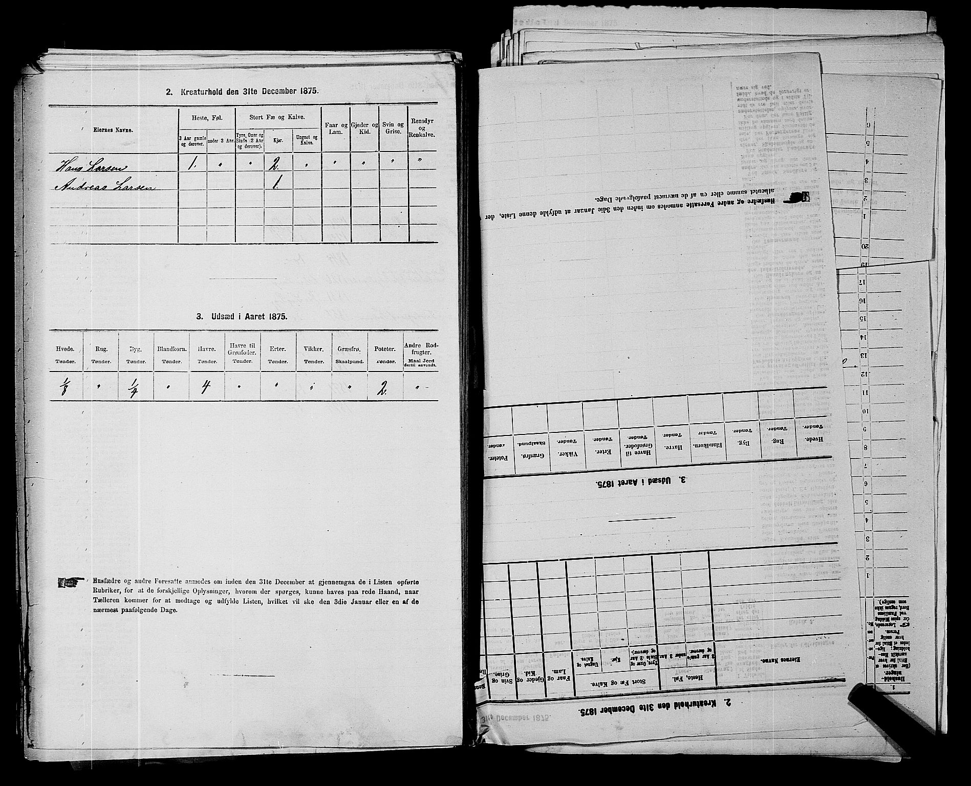 RA, 1875 census for 0117P Idd, 1875, p. 157