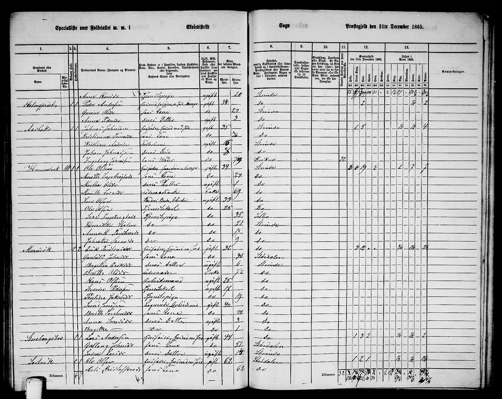 RA, 1865 census for Strinda, 1865, p. 247