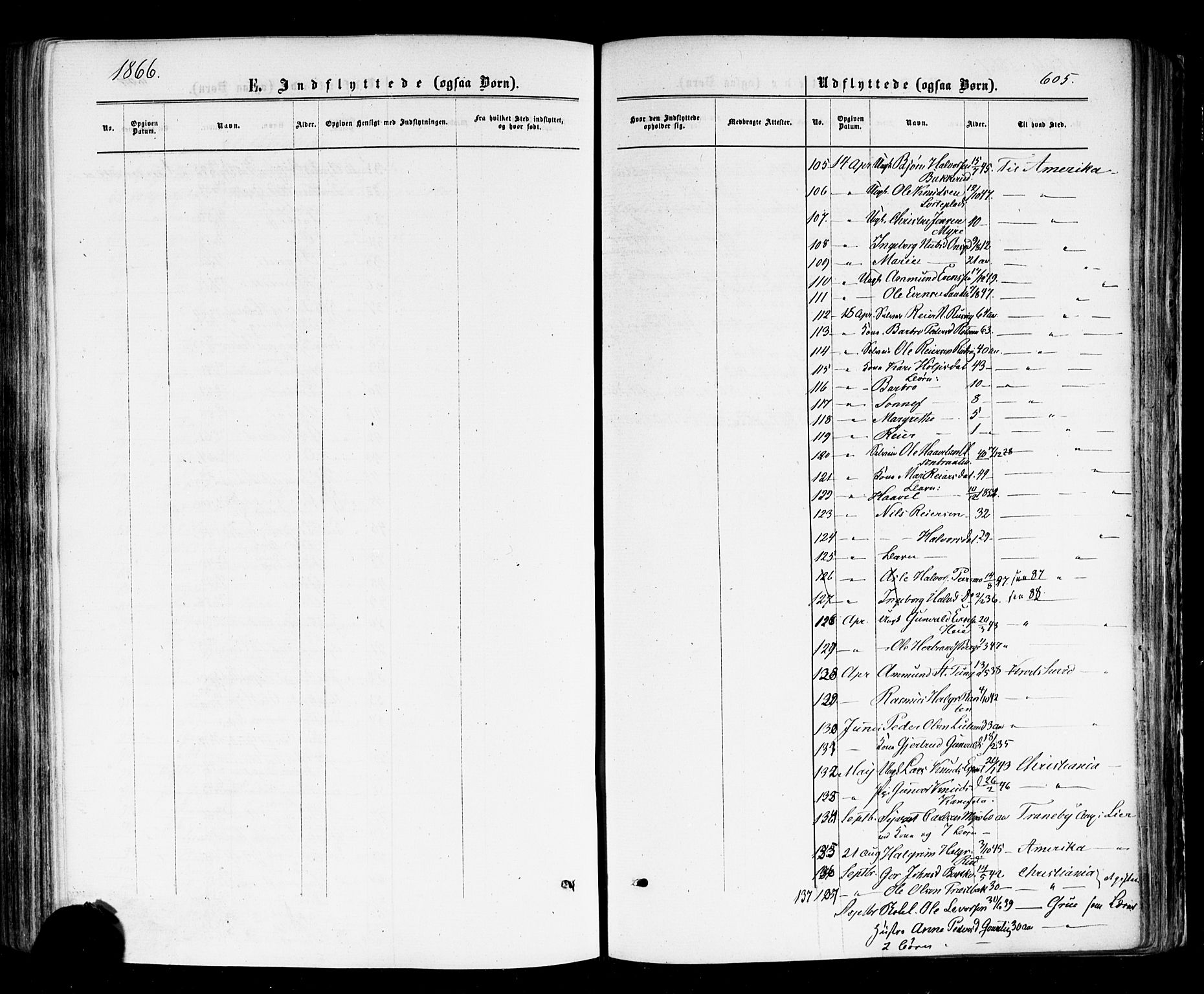 Nes kirkebøker, AV/SAKO-A-236/F/Fa/L0010: Parish register (official) no. 10, 1864-1880, p. 605