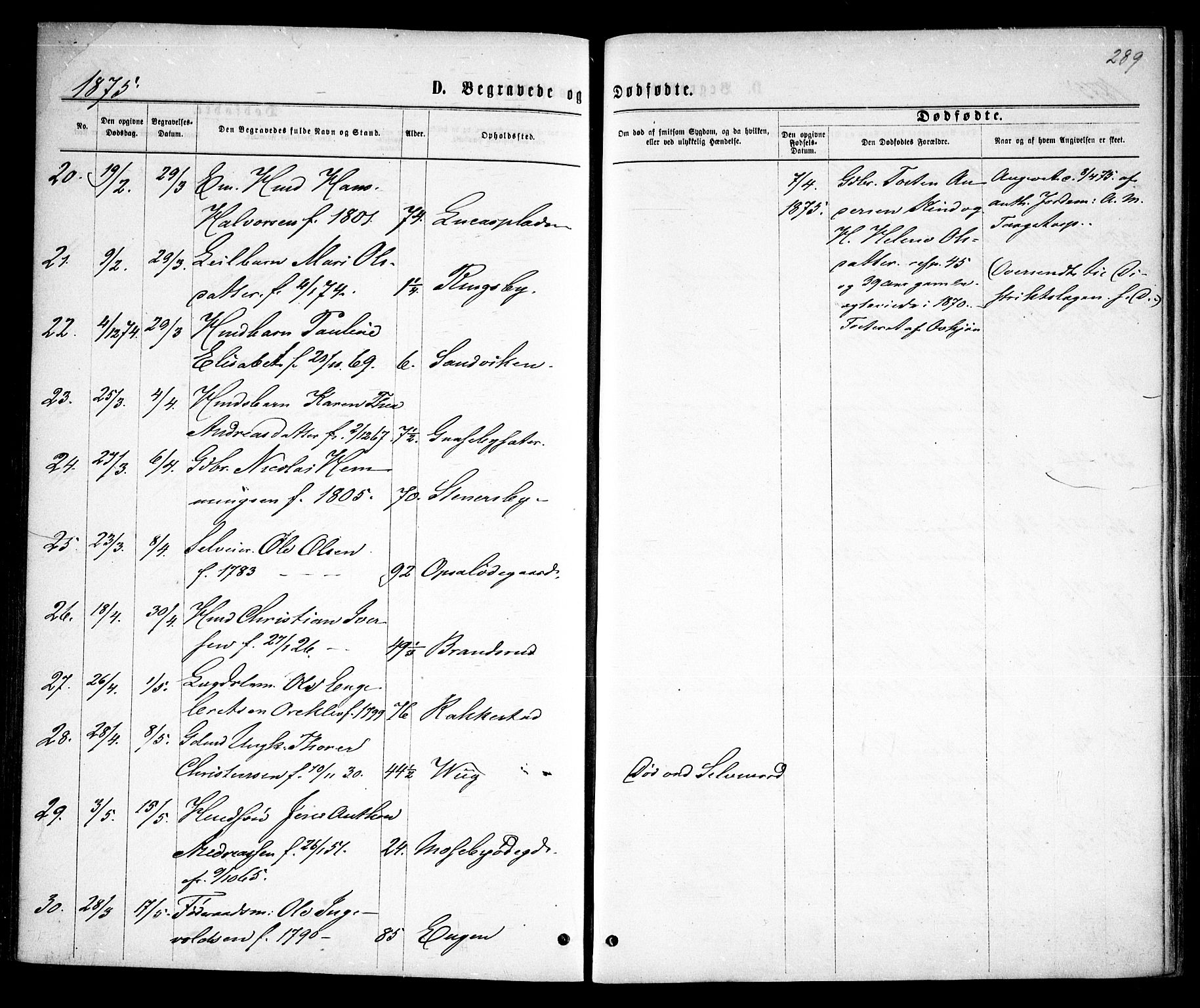 Rødenes prestekontor Kirkebøker, AV/SAO-A-2005/F/Fa/L0008: Parish register (official) no. I 8, 1869-1879, p. 289