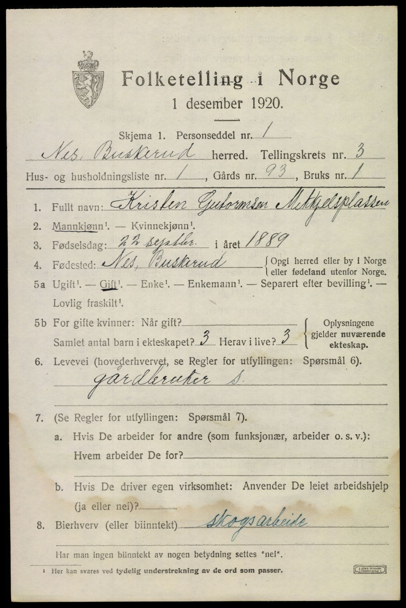 SAKO, 1920 census for Nes (Buskerud), 1920, p. 1626