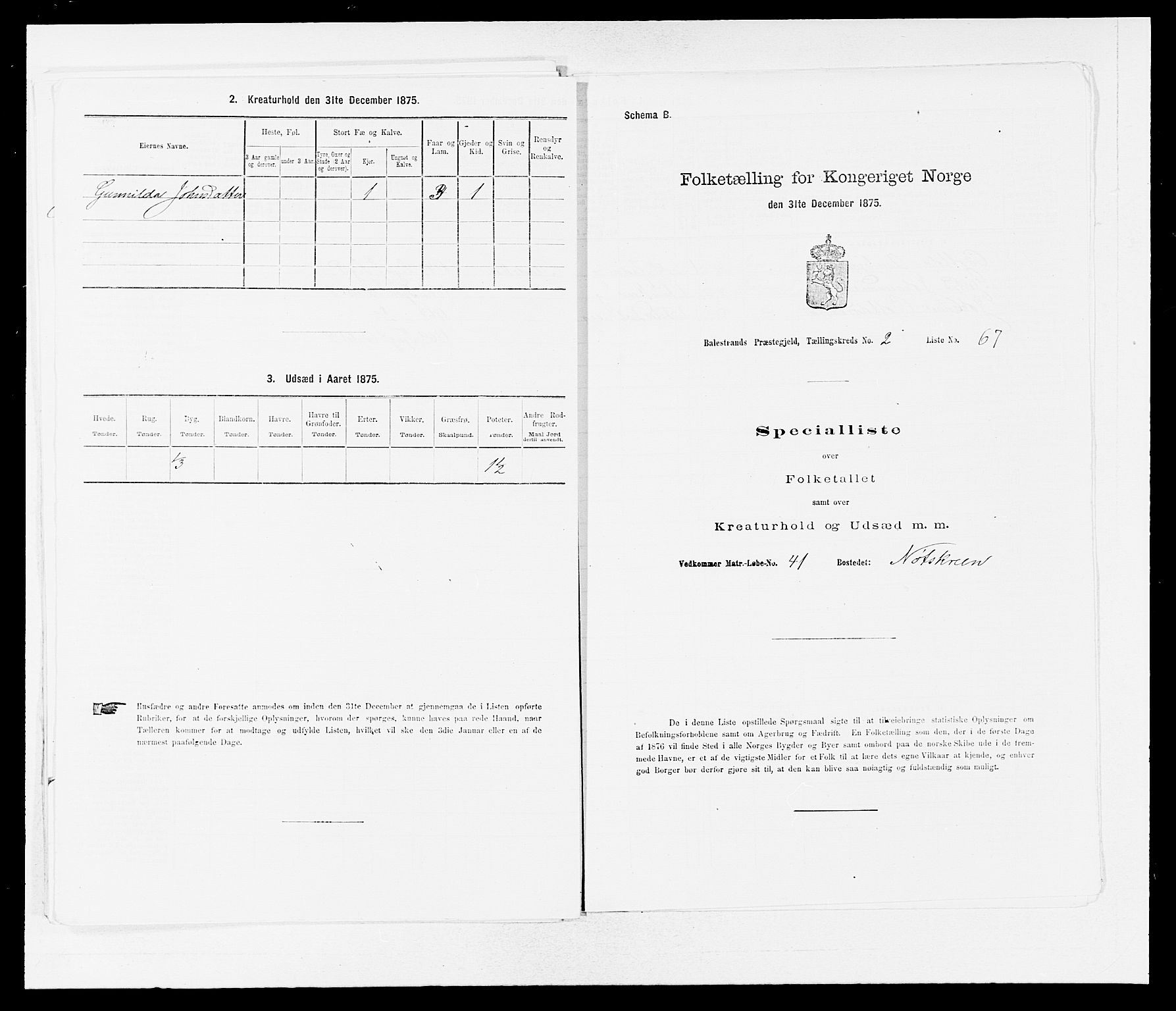SAB, 1875 census for 1418P Balestrand, 1875, p. 349