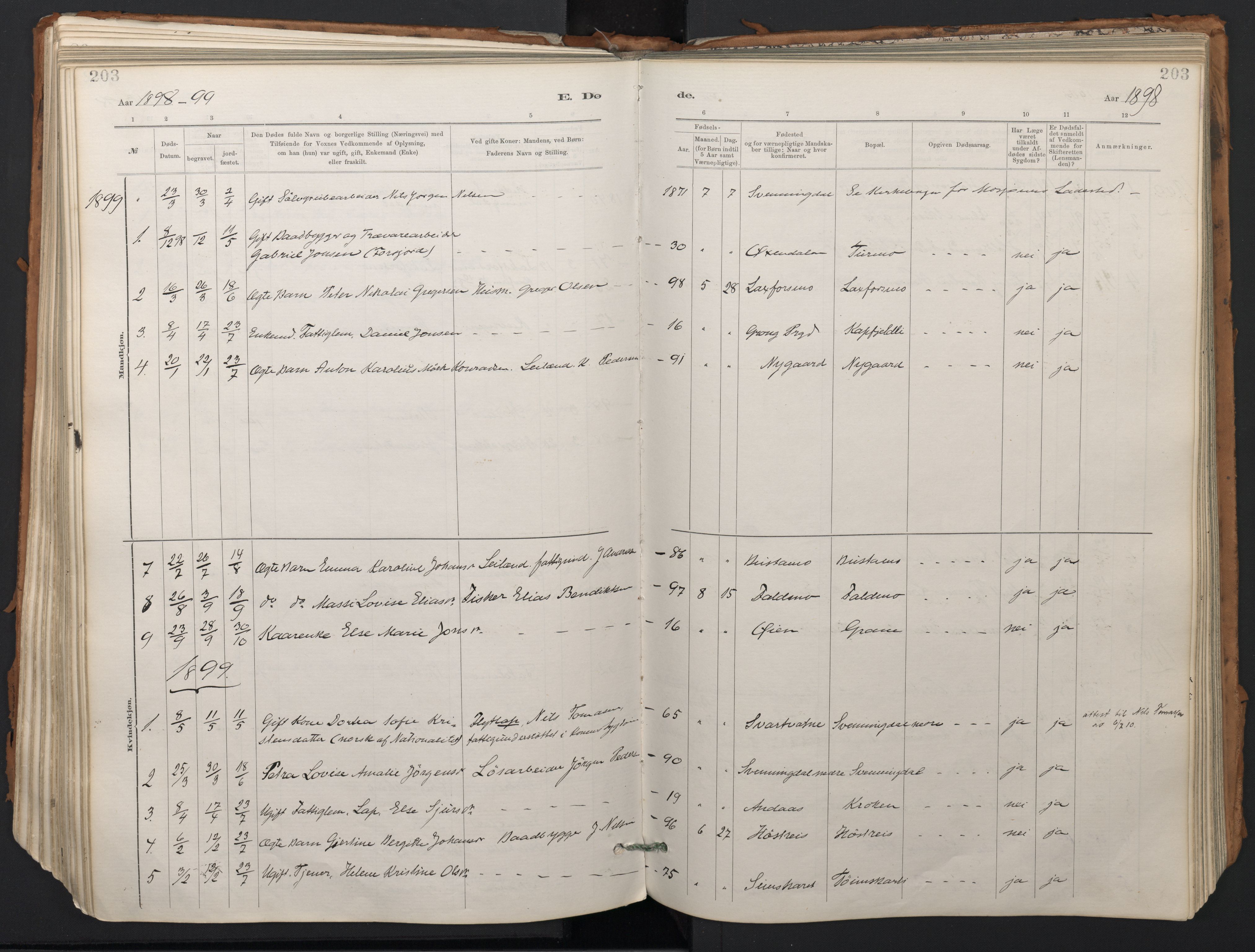 Ministerialprotokoller, klokkerbøker og fødselsregistre - Nordland, SAT/A-1459/824/L0338: Parish register (official) no. 824A01, 1880-1915, p. 203
