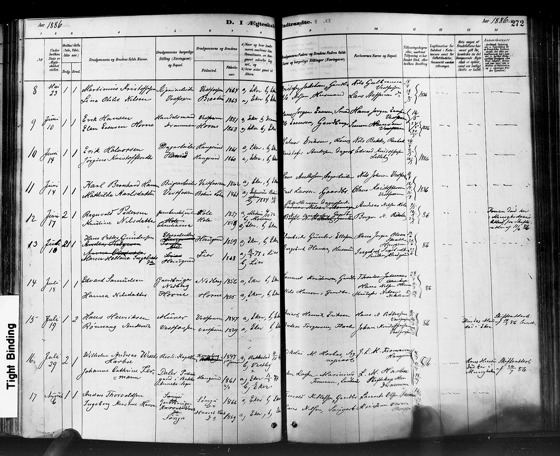 Eiker kirkebøker, AV/SAKO-A-4/F/Fb/L0001: Parish register (official) no. II 1, 1878-1888, p. 272