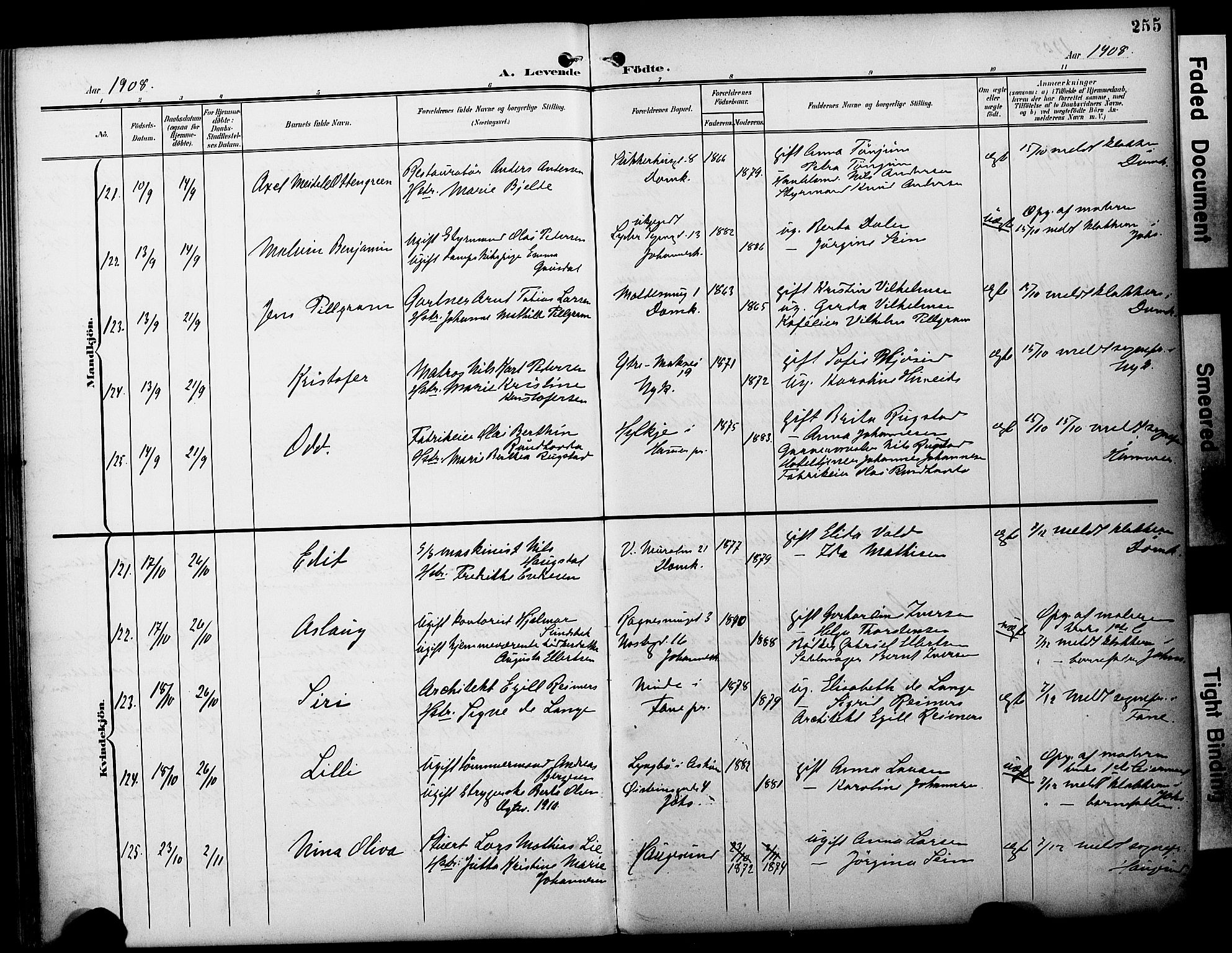 Fødselsstiftelsens sokneprestembete*, SAB/-: Parish register (official) no. A 3, 1901-1910, p. 255