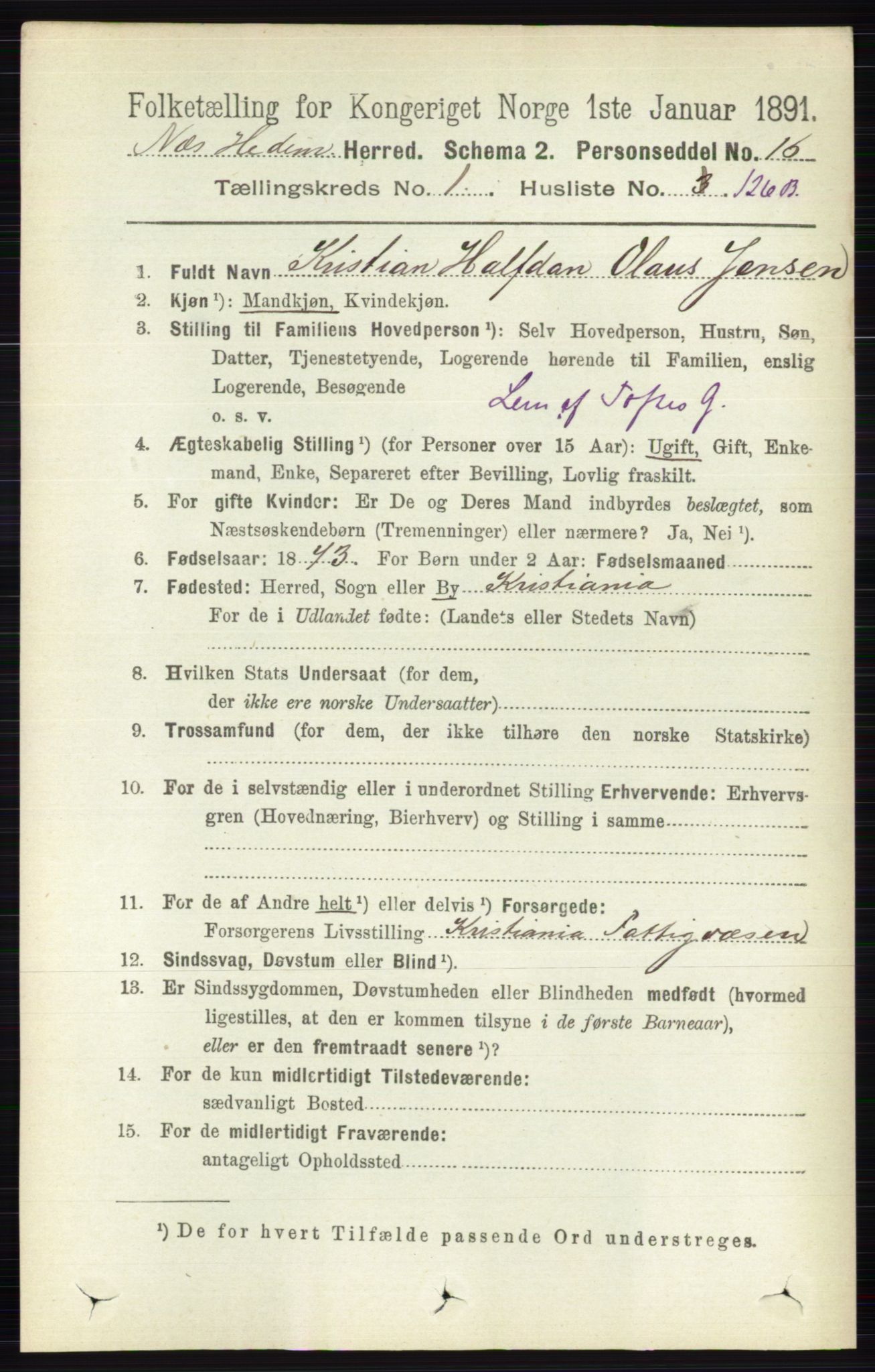 RA, 1891 census for 0411 Nes, 1891, p. 923
