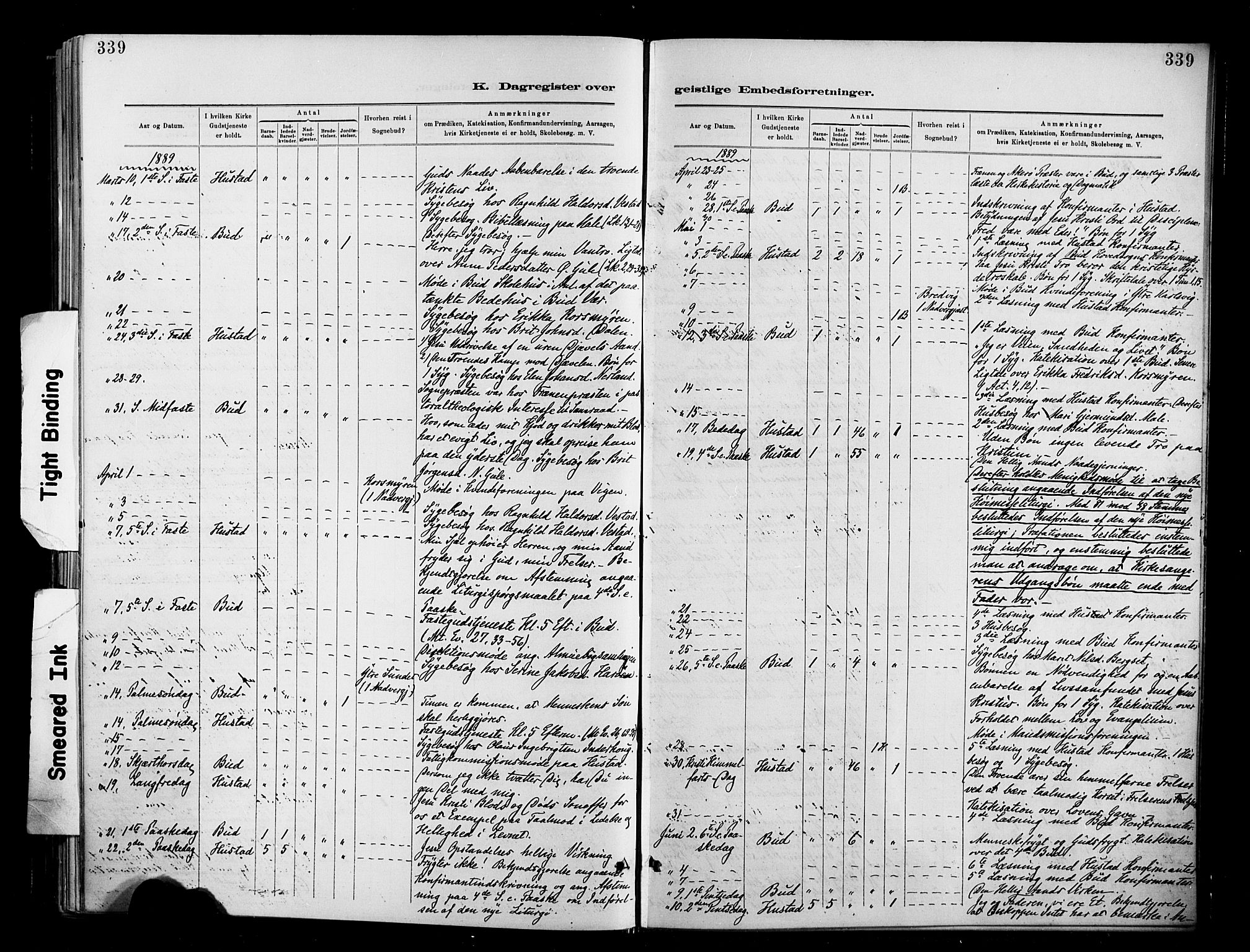 Ministerialprotokoller, klokkerbøker og fødselsregistre - Møre og Romsdal, AV/SAT-A-1454/566/L0769: Parish register (official) no. 566A08, 1881-1903, p. 339