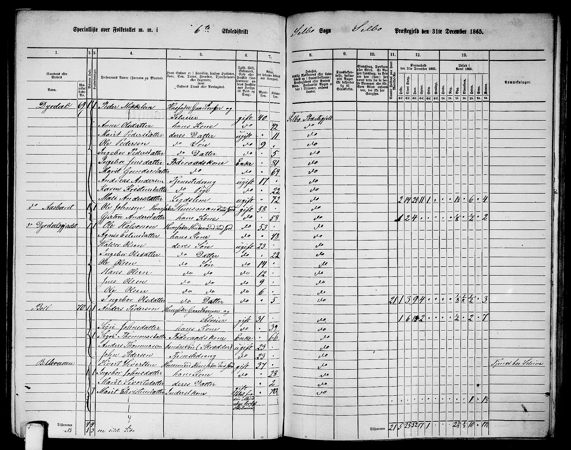 RA, 1865 census for Selbu, 1865, p. 91