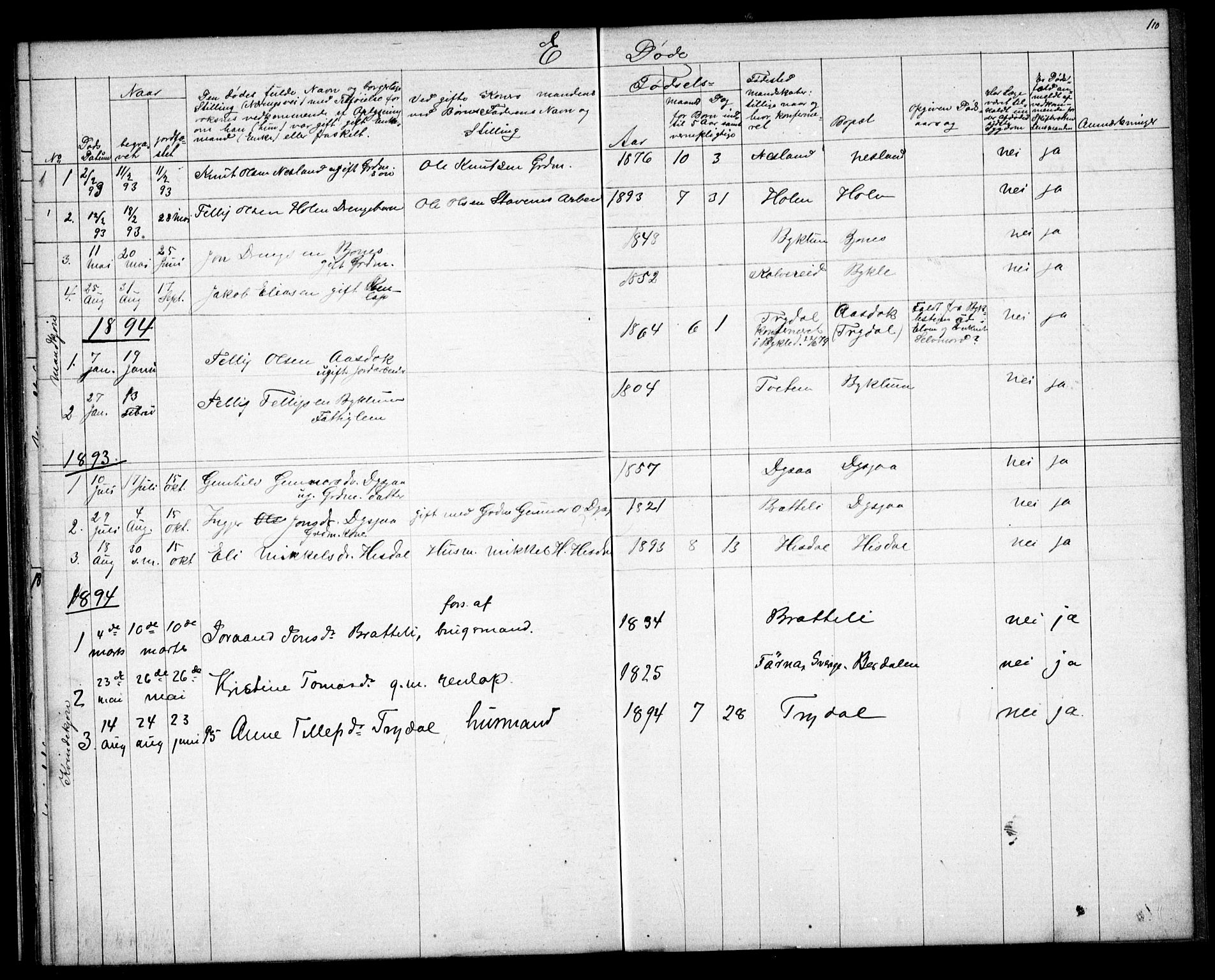 Valle sokneprestkontor, AV/SAK-1111-0044/F/Fb/Fba/L0002: Parish register (copy) no. B 2, 1882-1894, p. 110