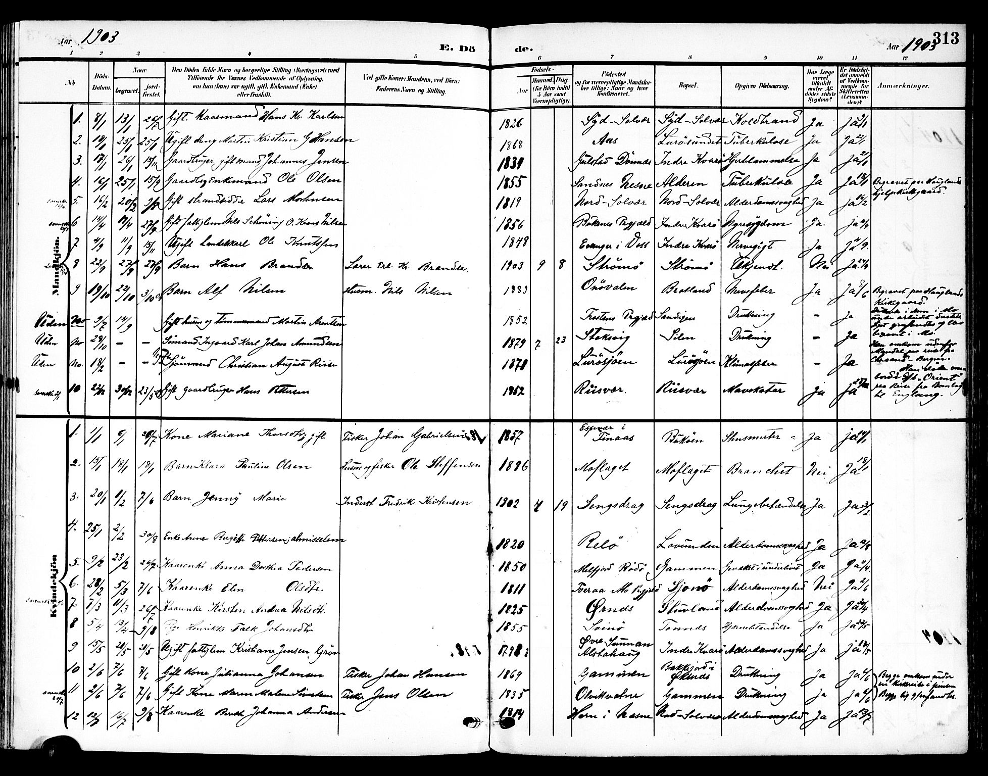 Ministerialprotokoller, klokkerbøker og fødselsregistre - Nordland, SAT/A-1459/839/L0569: Parish register (official) no. 839A06, 1903-1922, p. 313