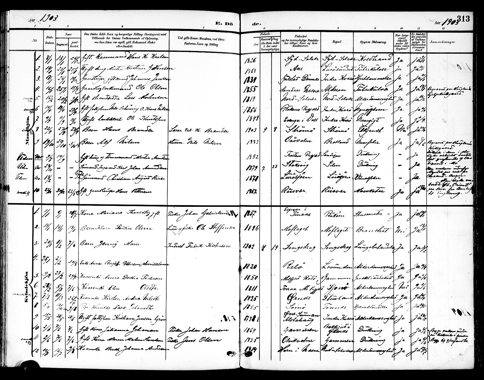 Ministerialprotokoller, klokkerbøker og fødselsregistre - Nordland, AV/SAT-A-1459/839/L0569: Parish register (official) no. 839A06, 1903-1922, p. 313