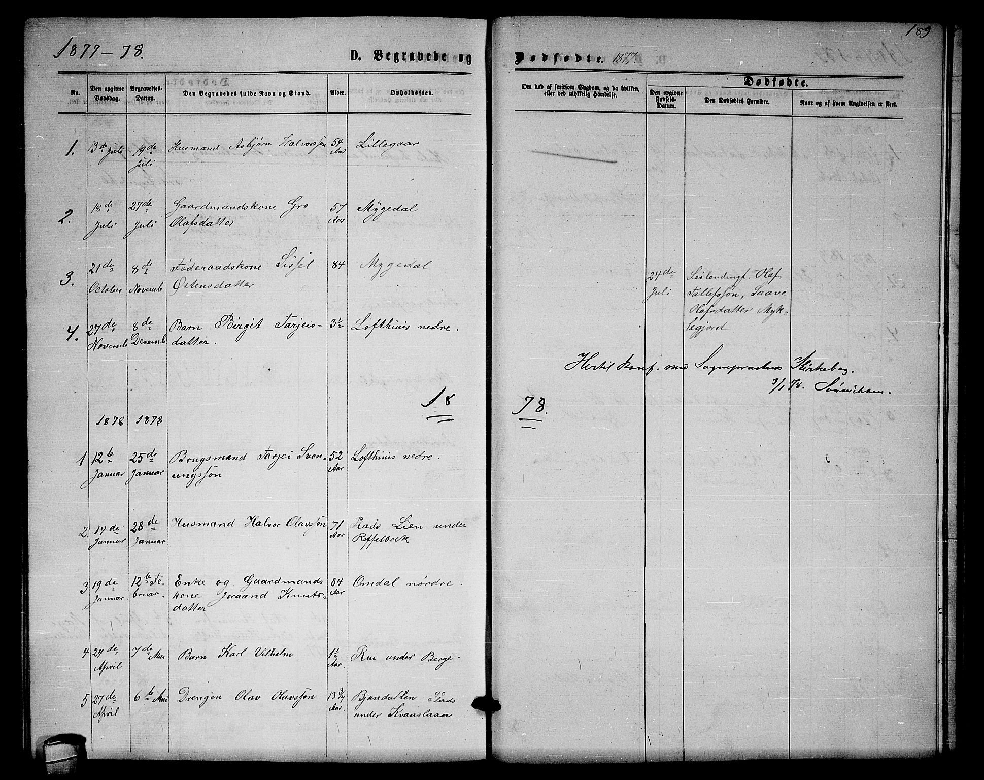 Lårdal kirkebøker, AV/SAKO-A-284/G/Gb/L0002: Parish register (copy) no. II 2, 1865-1888, p. 189