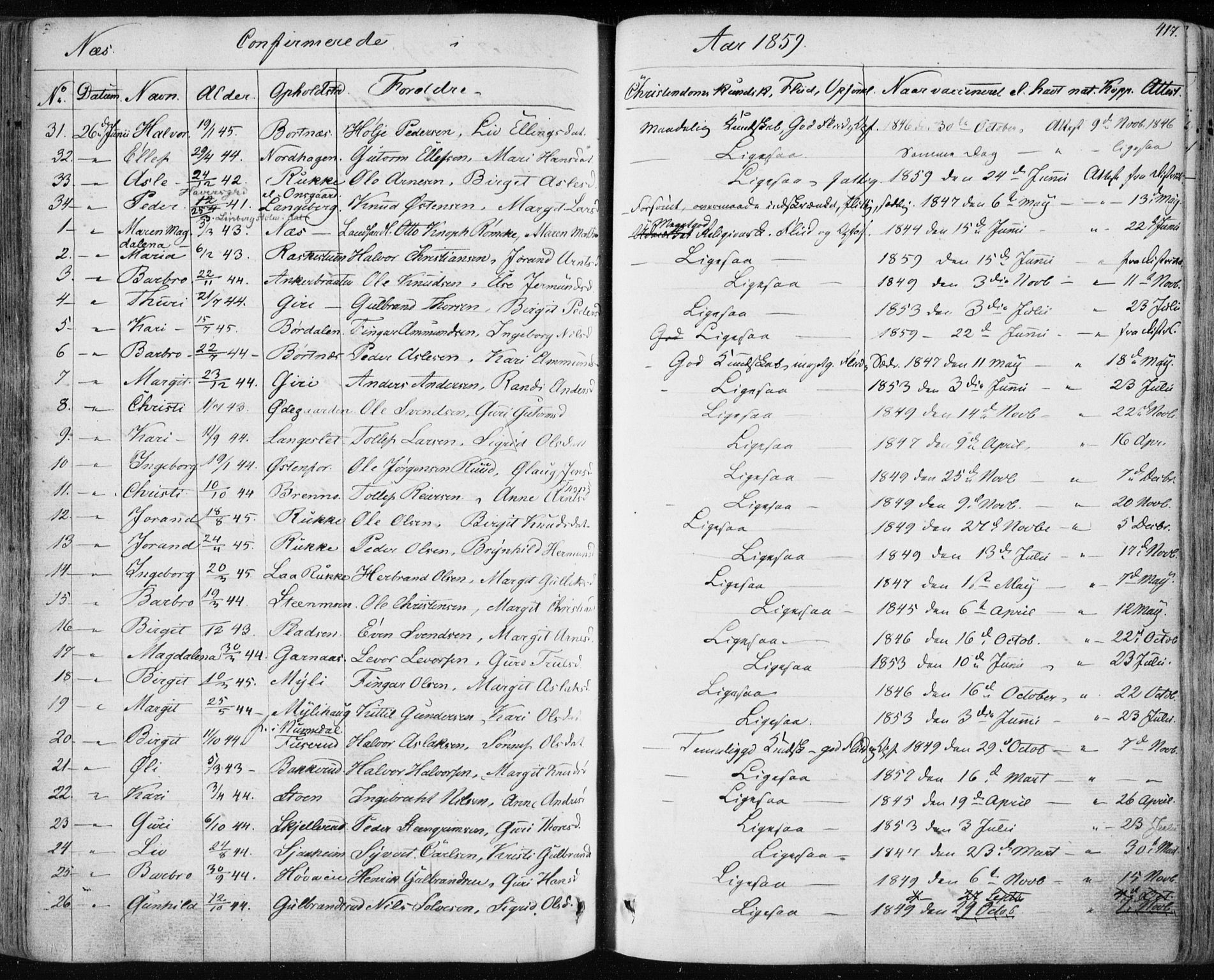 Nes kirkebøker, AV/SAKO-A-236/F/Fa/L0009: Parish register (official) no. 9, 1834-1863, p. 417