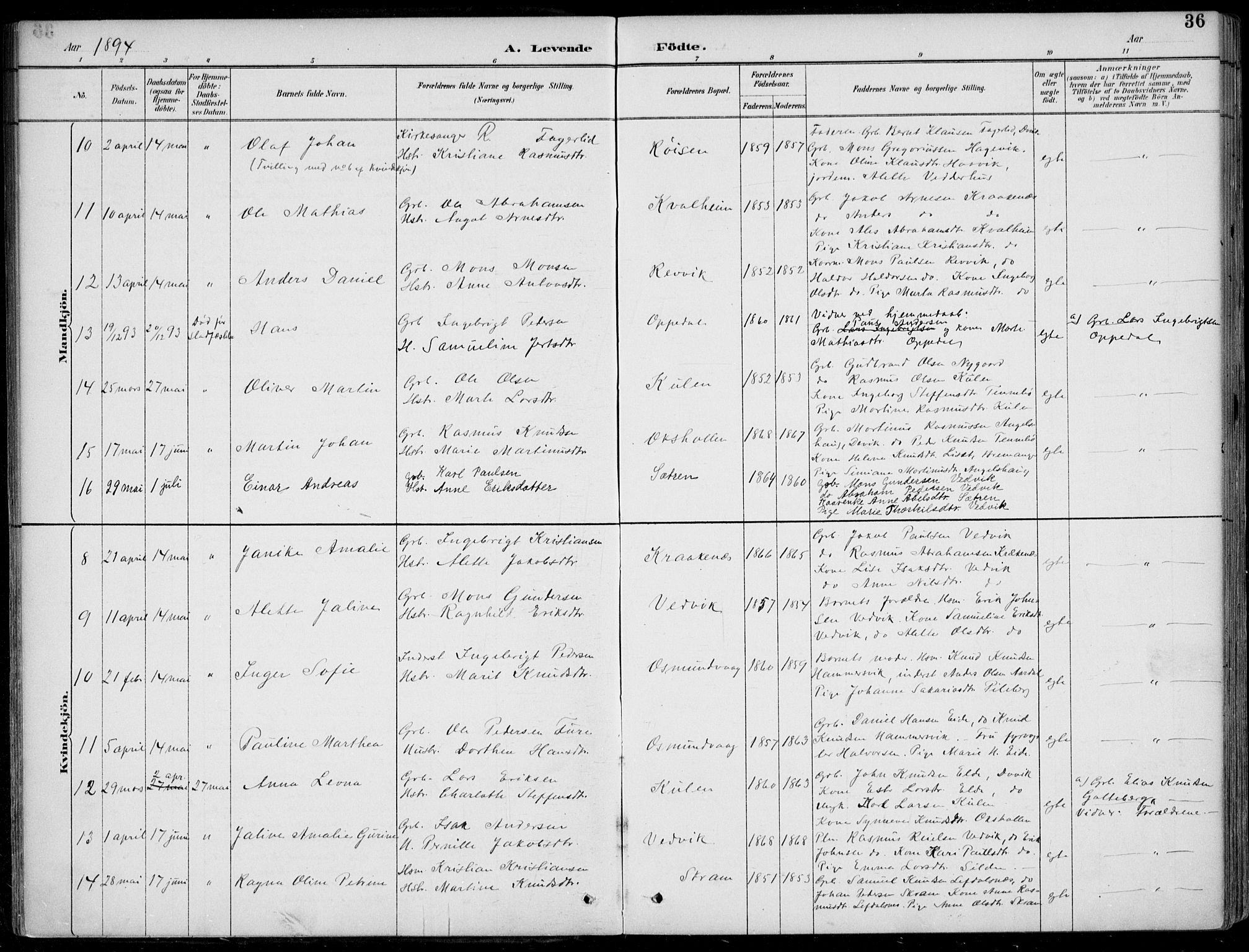 Selje sokneprestembete, AV/SAB-A-99938/H/Ha/Haa/Haac/L0002: Parish register (official) no. C  2, 1889-1904, p. 36