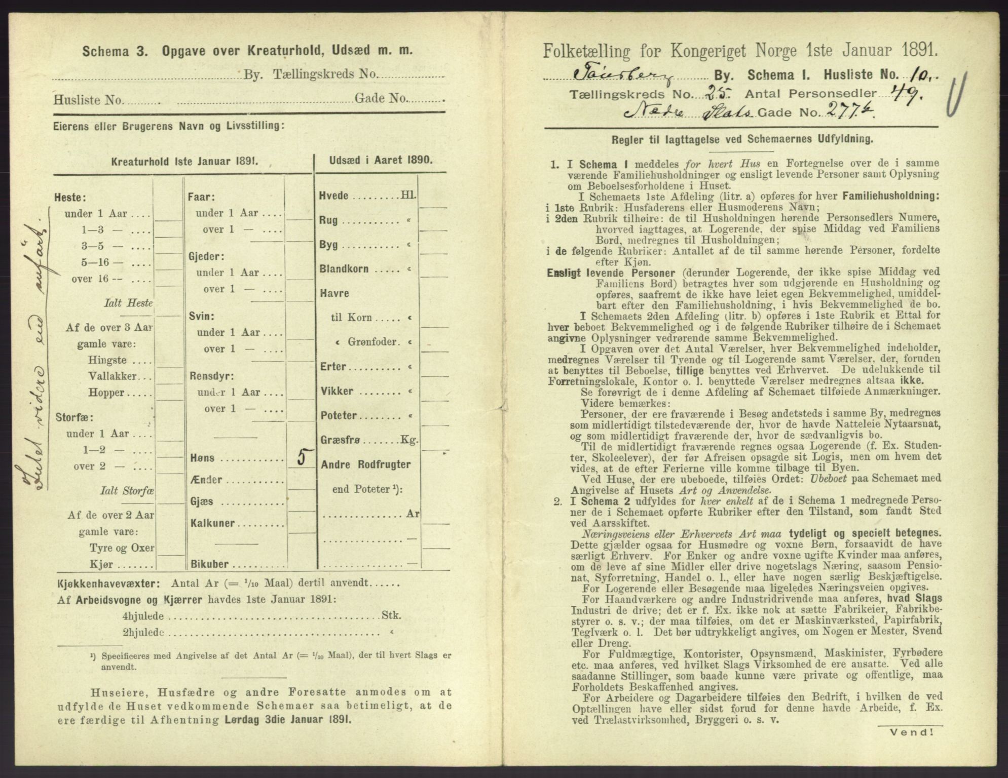 RA, 1891 census for 0705 Tønsberg, 1891, p. 810