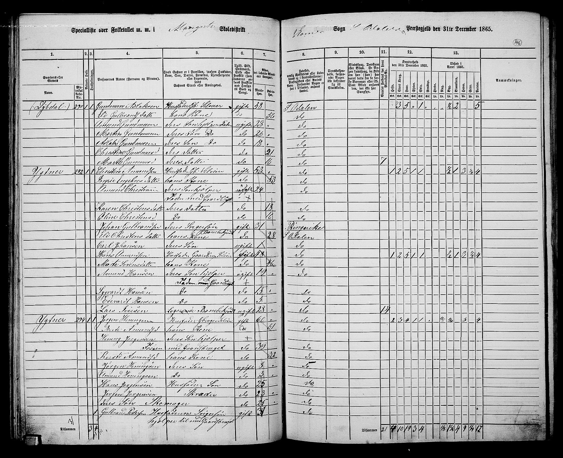 RA, 1865 census for Sør-Odal, 1865, p. 131