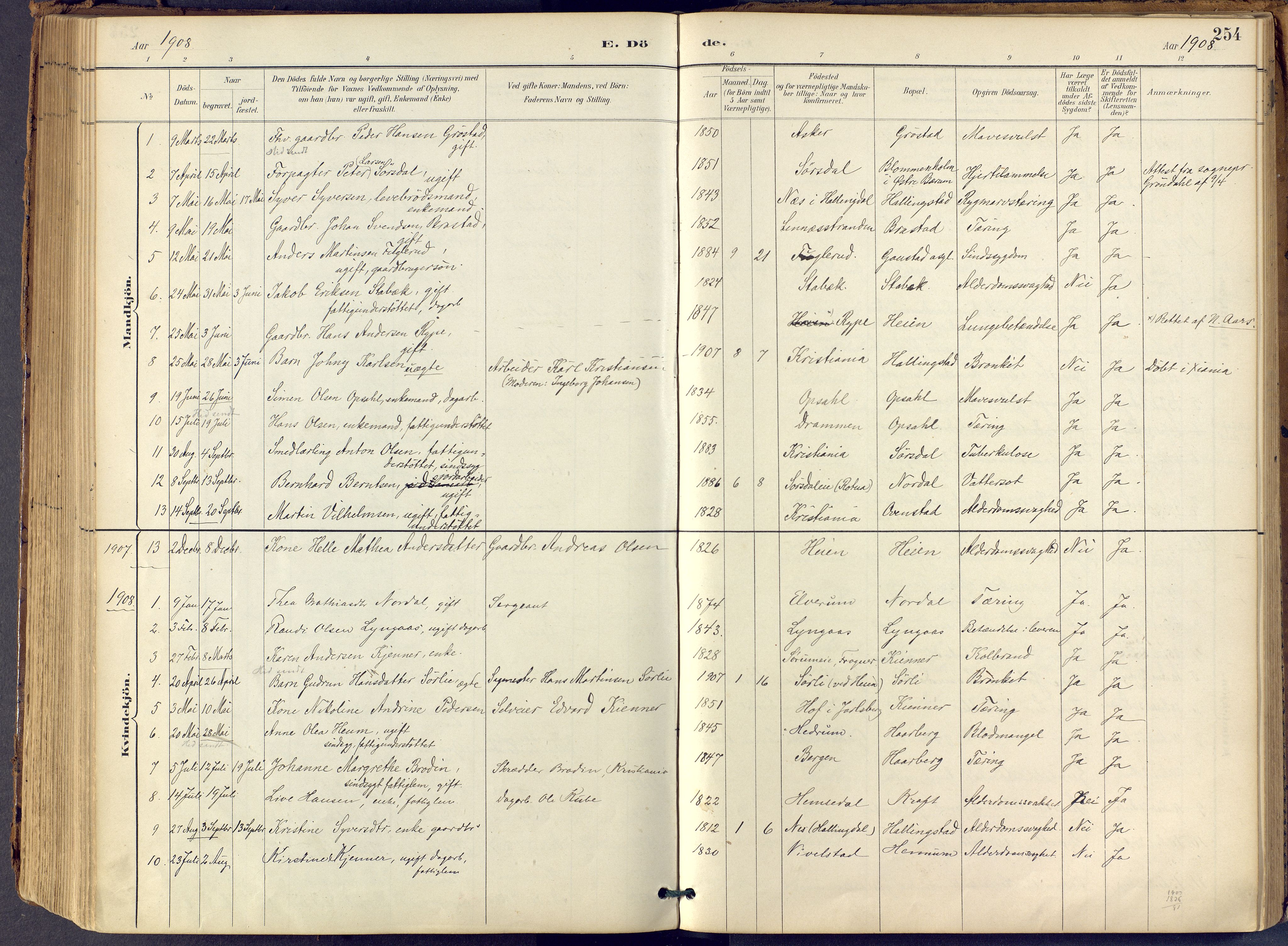 Lier kirkebøker, AV/SAKO-A-230/F/Fb/L0001: Parish register (official) no. II 1, 1883-1910, p. 254