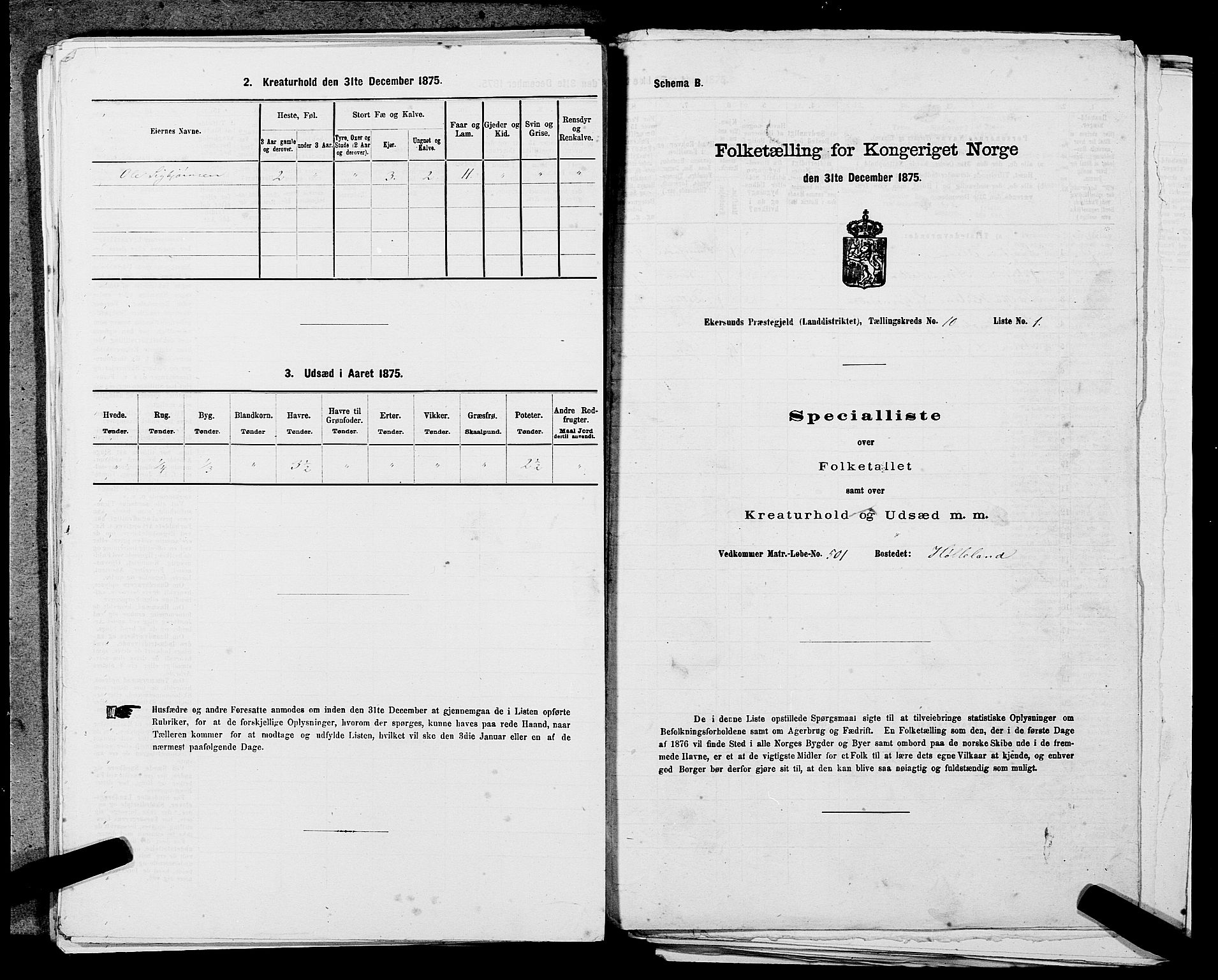 SAST, 1875 census for 1116L Eigersund/Eigersund og Ogna, 1875, p. 1223