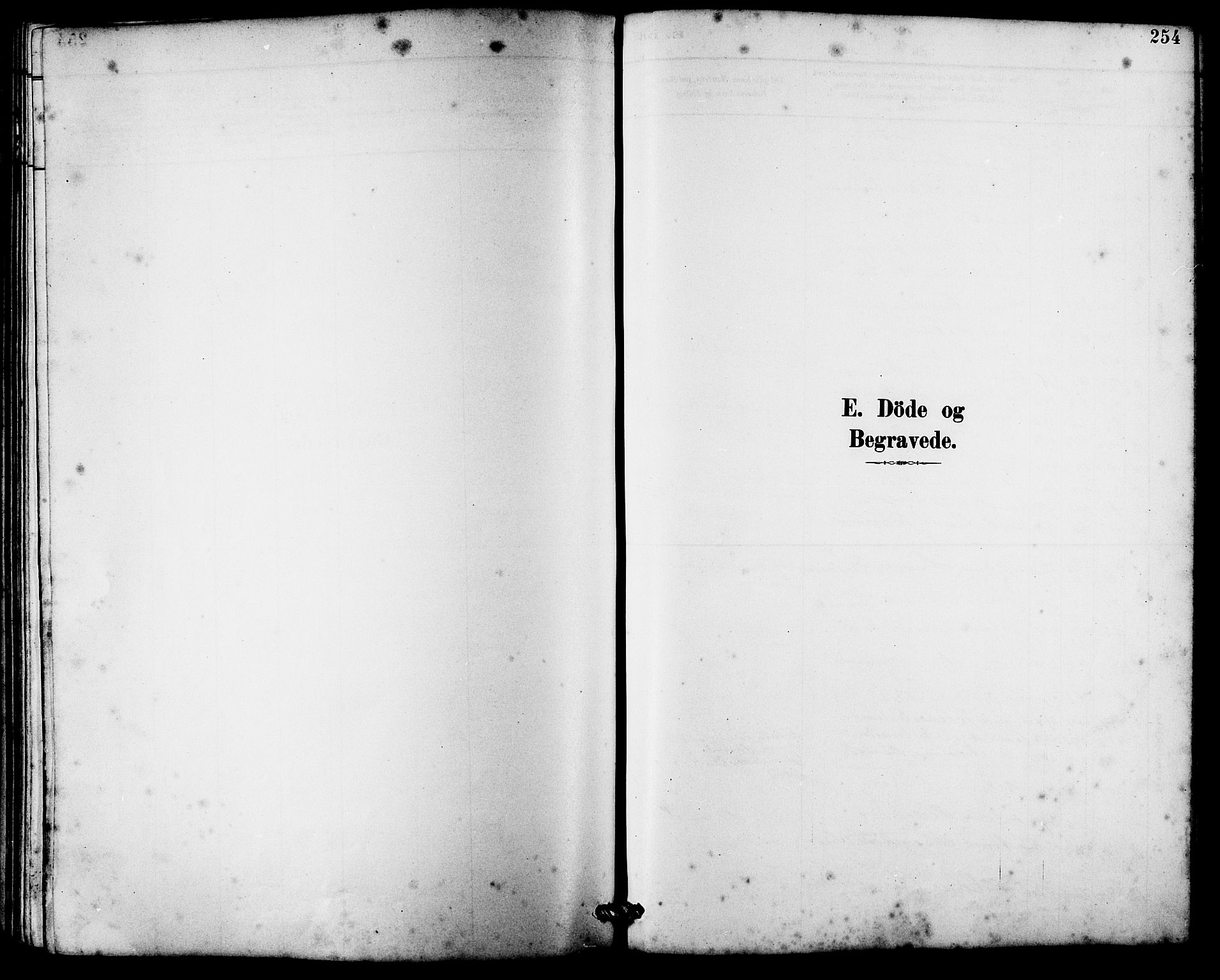 Ministerialprotokoller, klokkerbøker og fødselsregistre - Møre og Romsdal, SAT/A-1454/536/L0510: Parish register (copy) no. 536C05, 1881-1898, p. 254