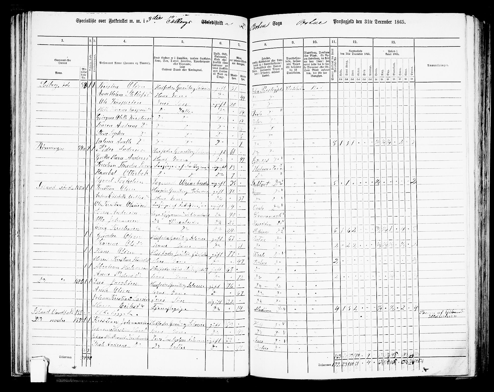 RA, 1865 census for Botne/Botne og Hillestad, 1865, p. 61