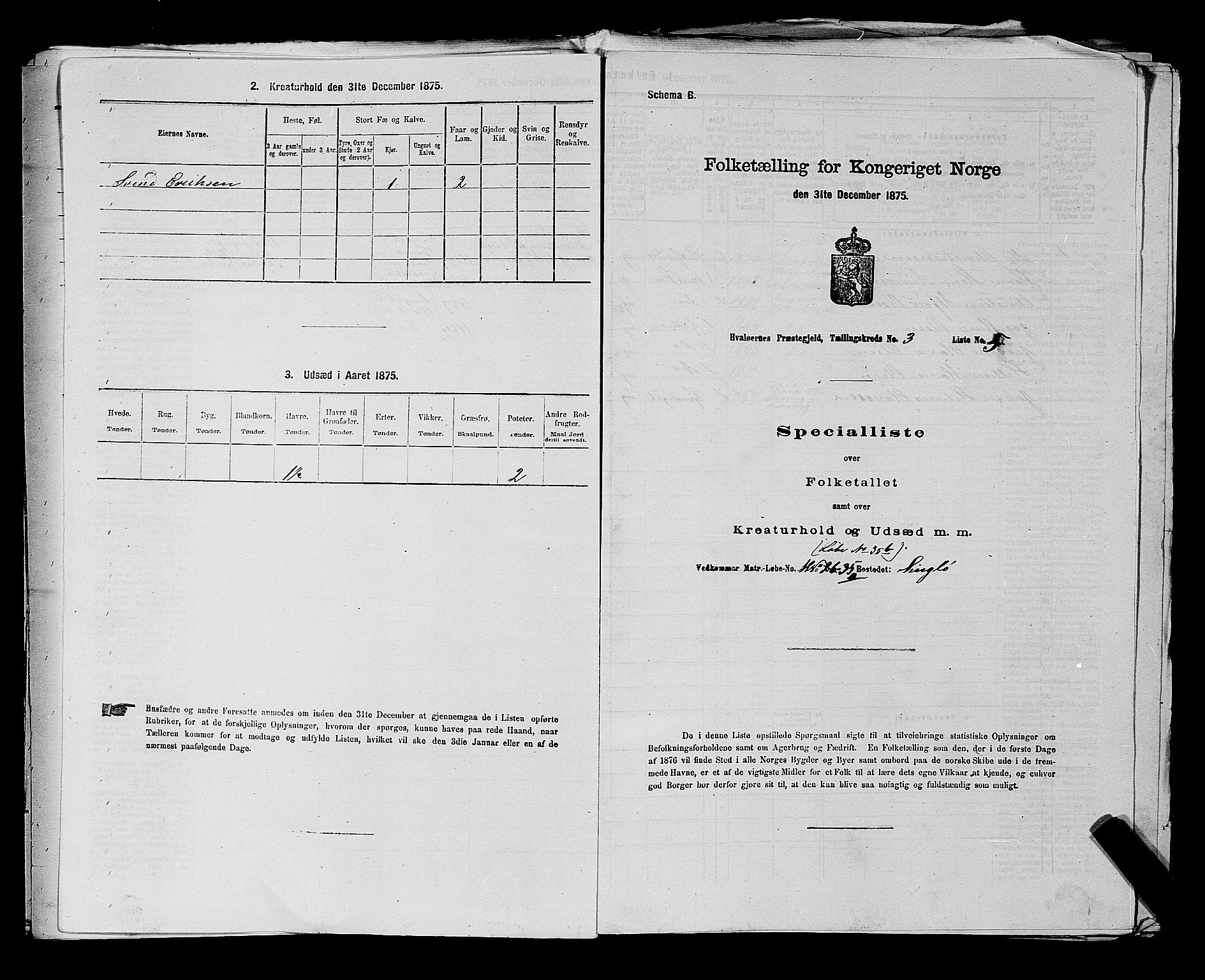 RA, 1875 census for 0111P Hvaler, 1875, p. 566