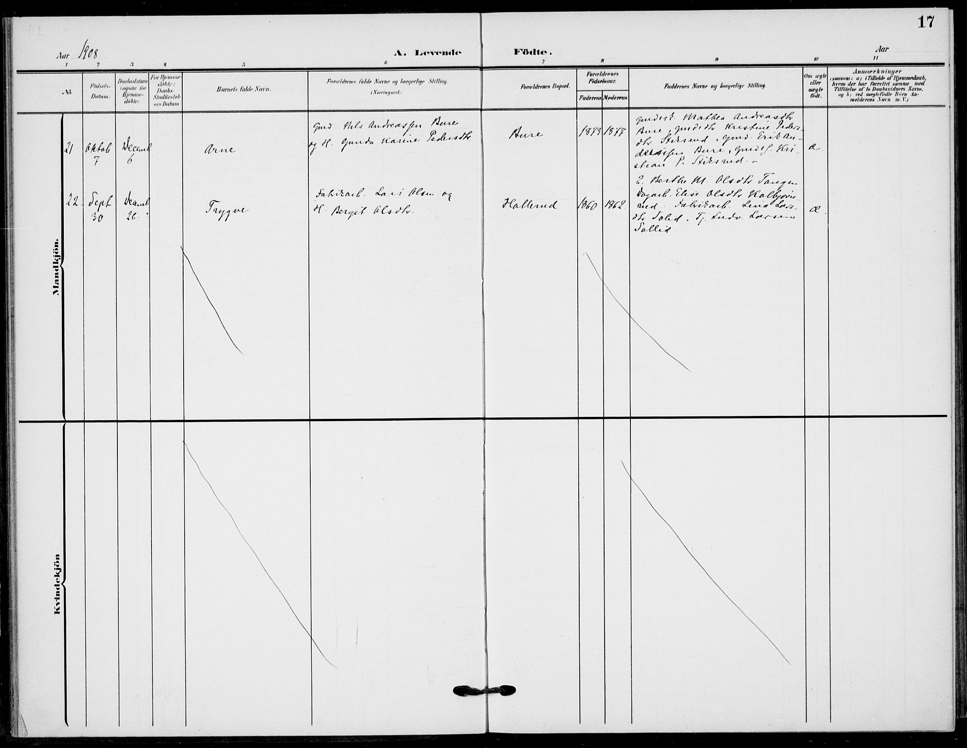 Hole kirkebøker, AV/SAKO-A-228/F/Fb/L0003: Parish register (official) no. II 3, 1906-1916, p. 17