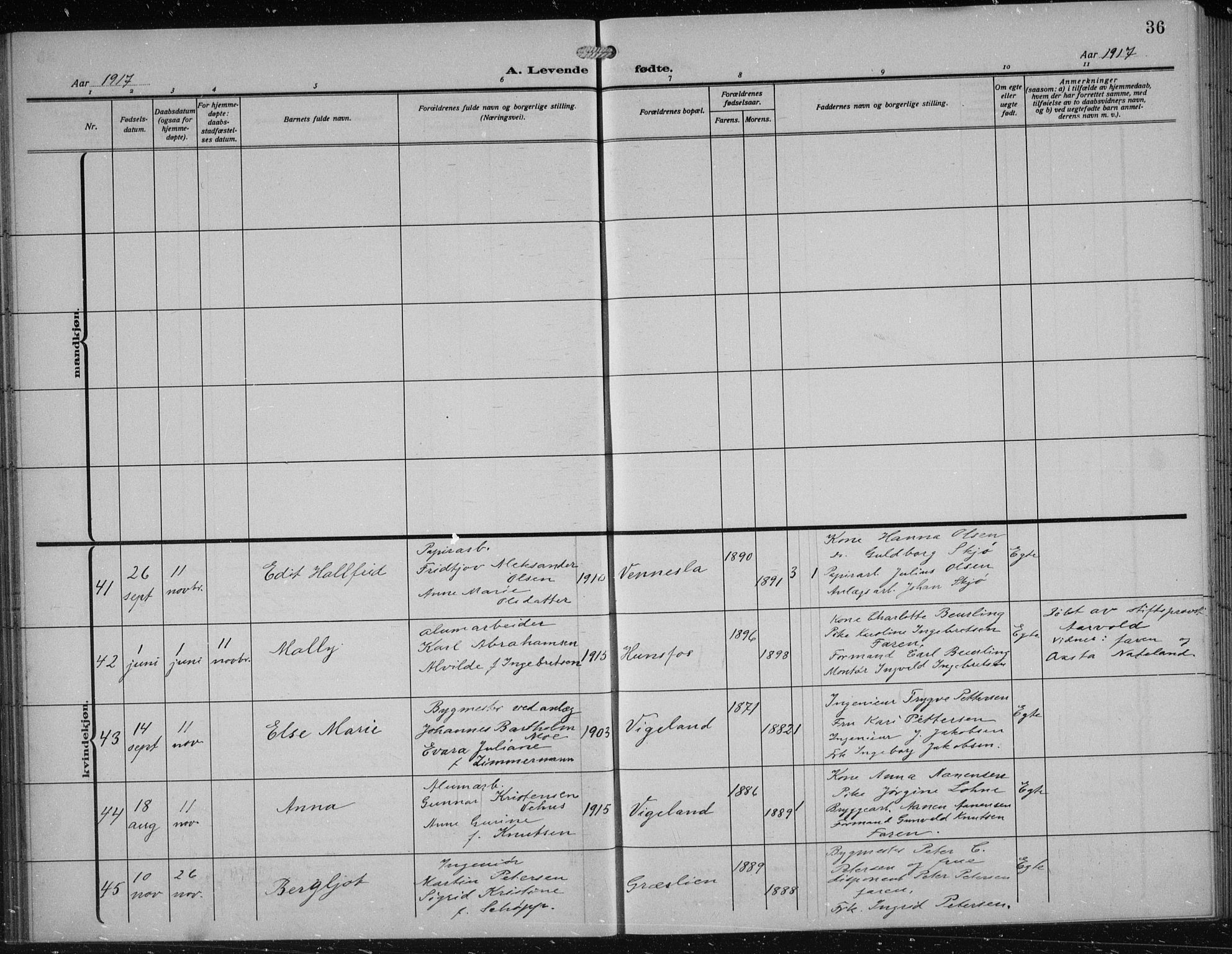 Vennesla sokneprestkontor, AV/SAK-1111-0045/Fb/Fbb/L0006: Parish register (copy) no. B 6, 1914-1921, p. 36