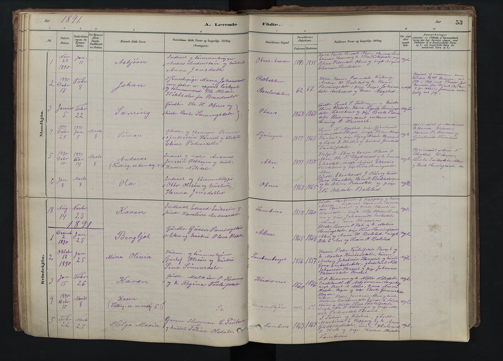 Rendalen prestekontor, SAH/PREST-054/H/Ha/Hab/L0009: Parish register (copy) no. 9, 1879-1902, p. 53