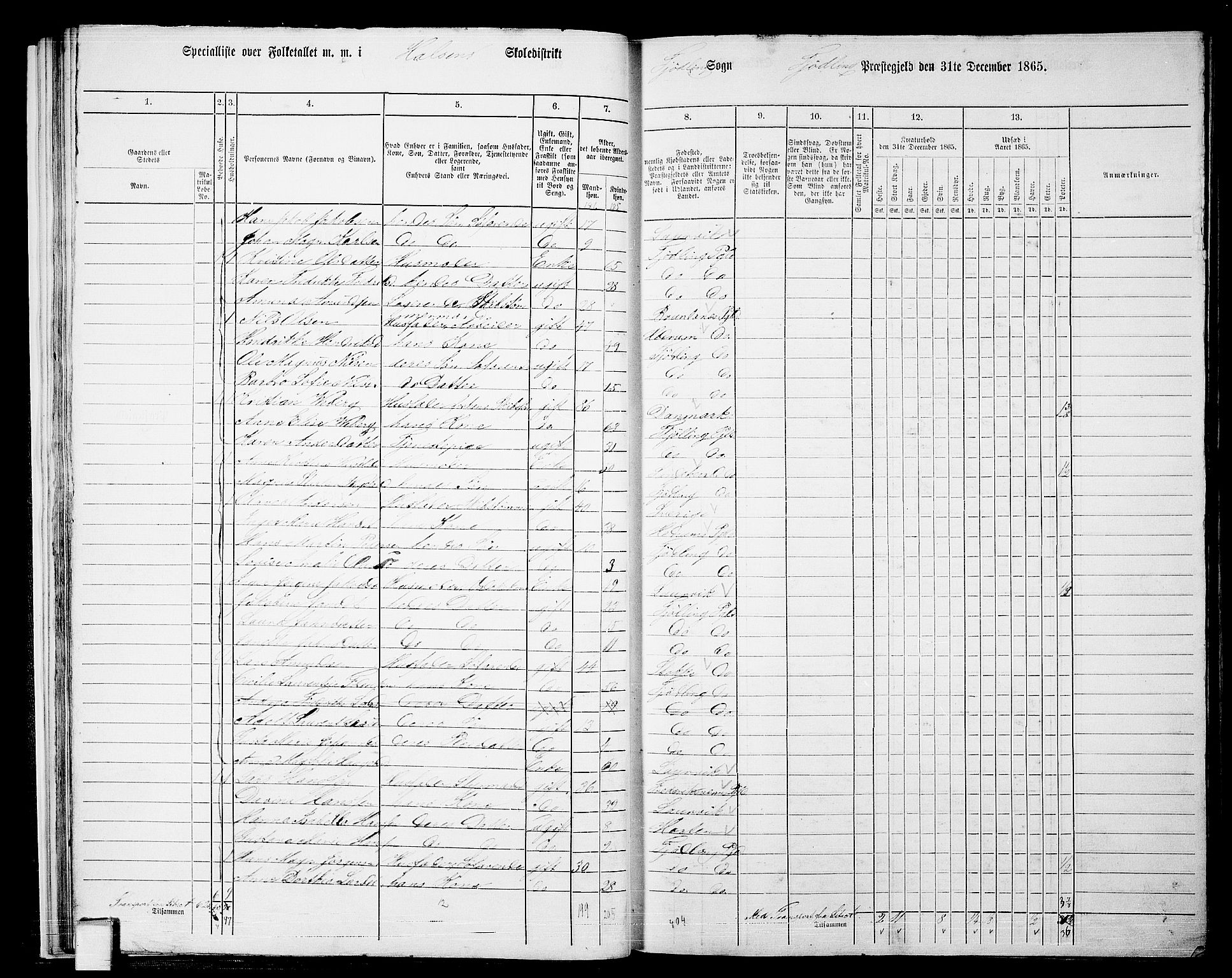 RA, 1865 census for Tjølling, 1865, p. 30