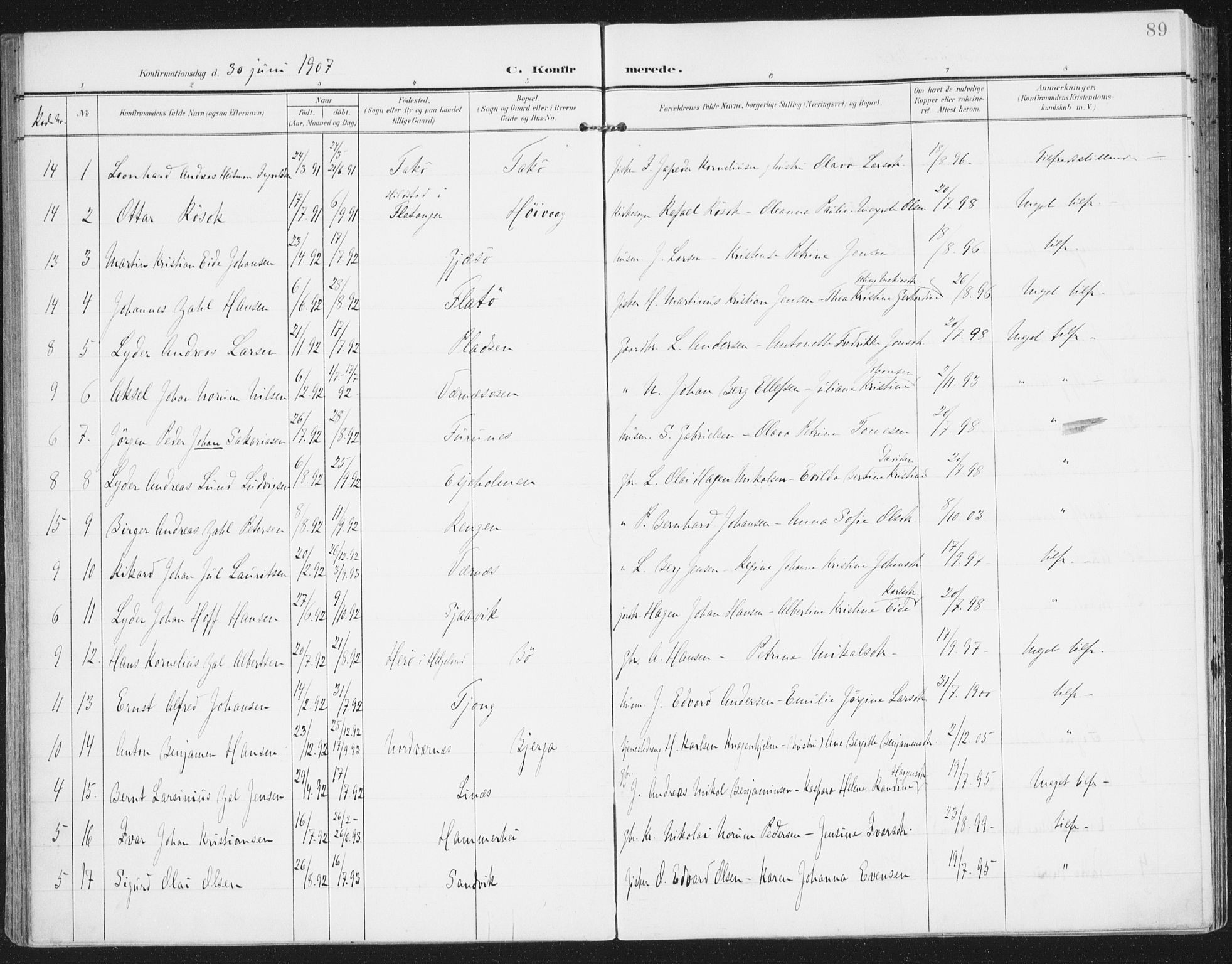 Ministerialprotokoller, klokkerbøker og fødselsregistre - Nordland, AV/SAT-A-1459/841/L0612: Parish register (official) no. 841A15, 1902-1910, p. 89