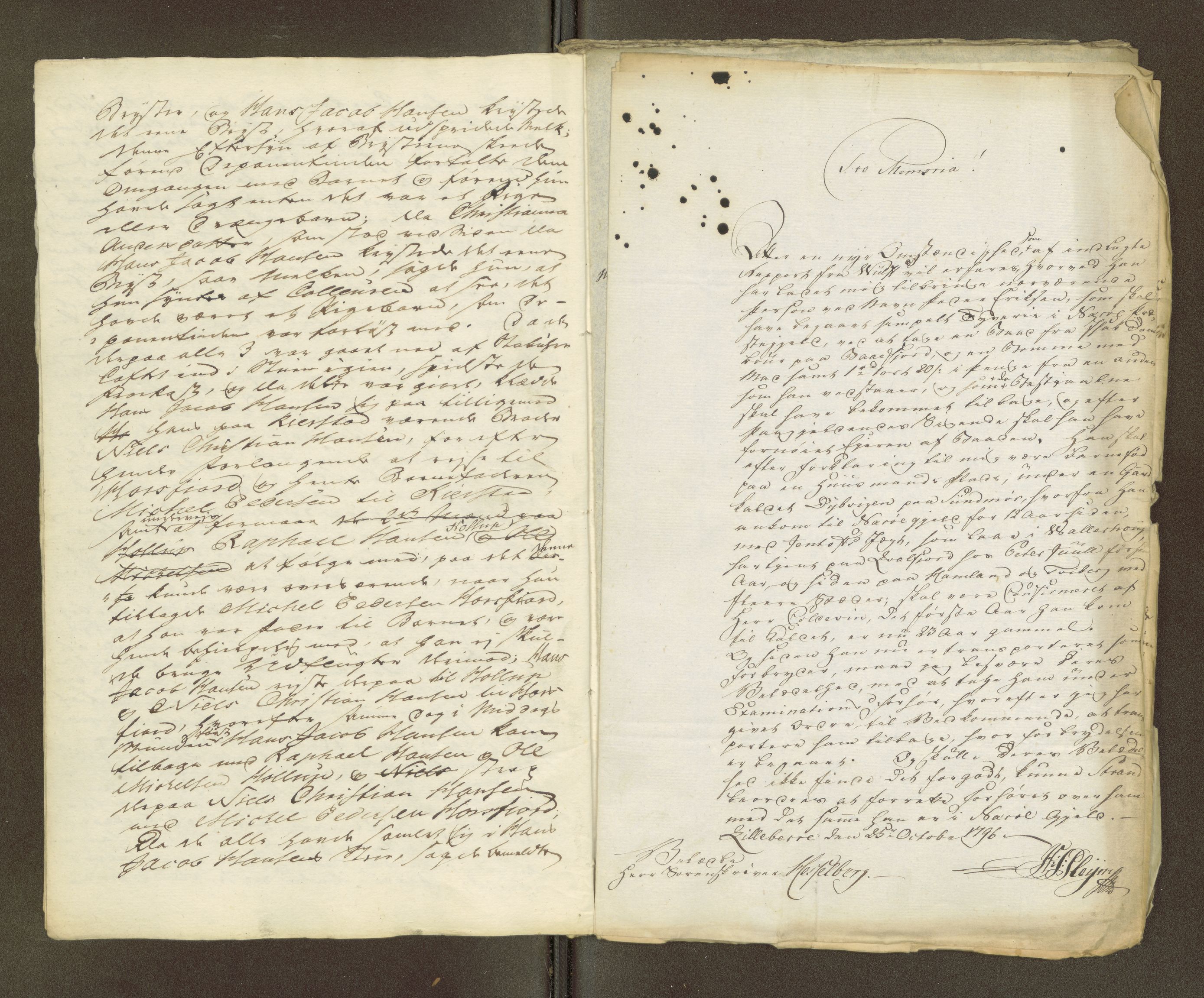 Namdal sorenskriveri, AV/SAT-A-4133/1/1/1O/1Oa/L0007: Sivile og offentlige saker, 1798, p. 102