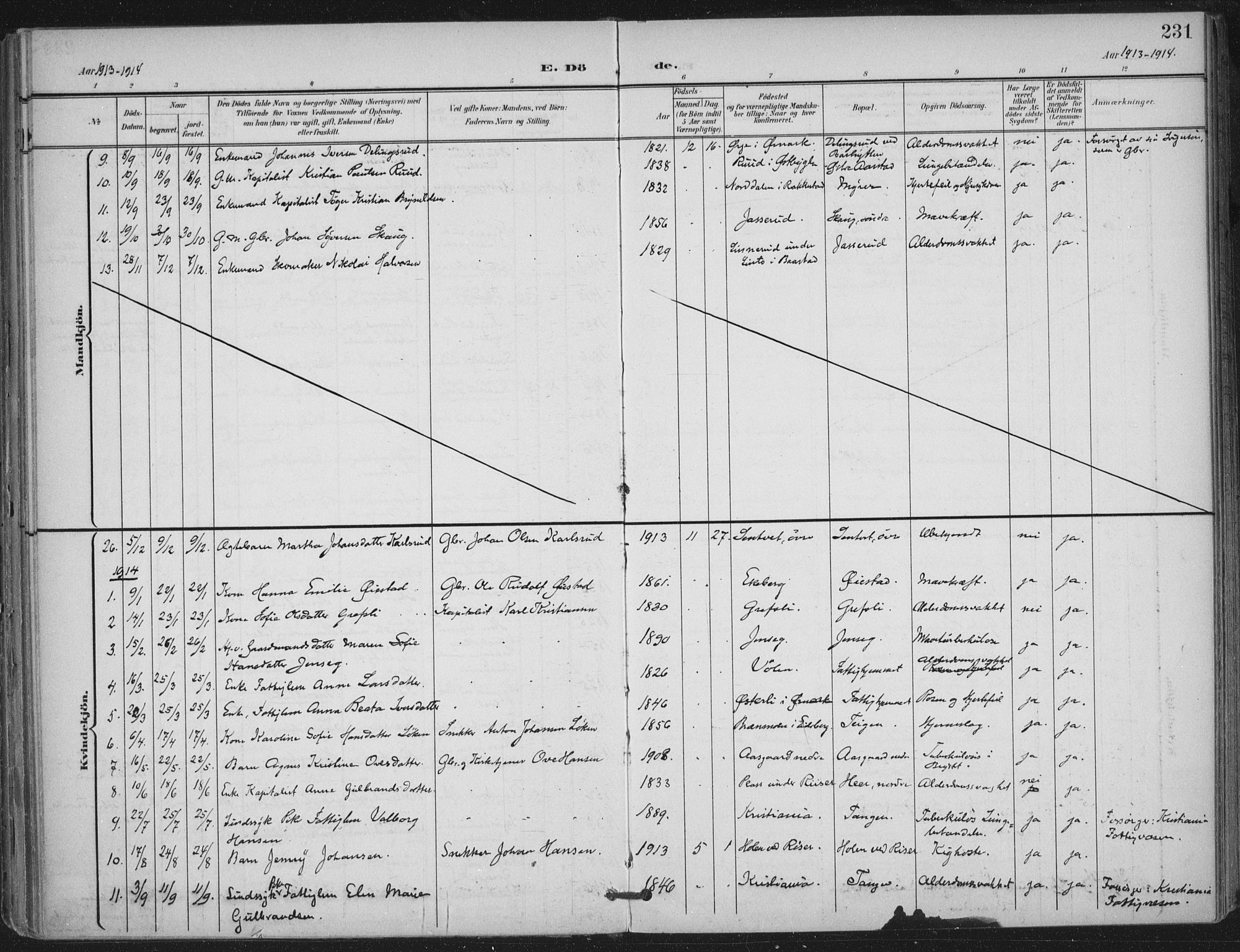 Trøgstad prestekontor Kirkebøker, SAO/A-10925/F/Fa/L0011: Parish register (official) no. I 11, 1899-1919, p. 231