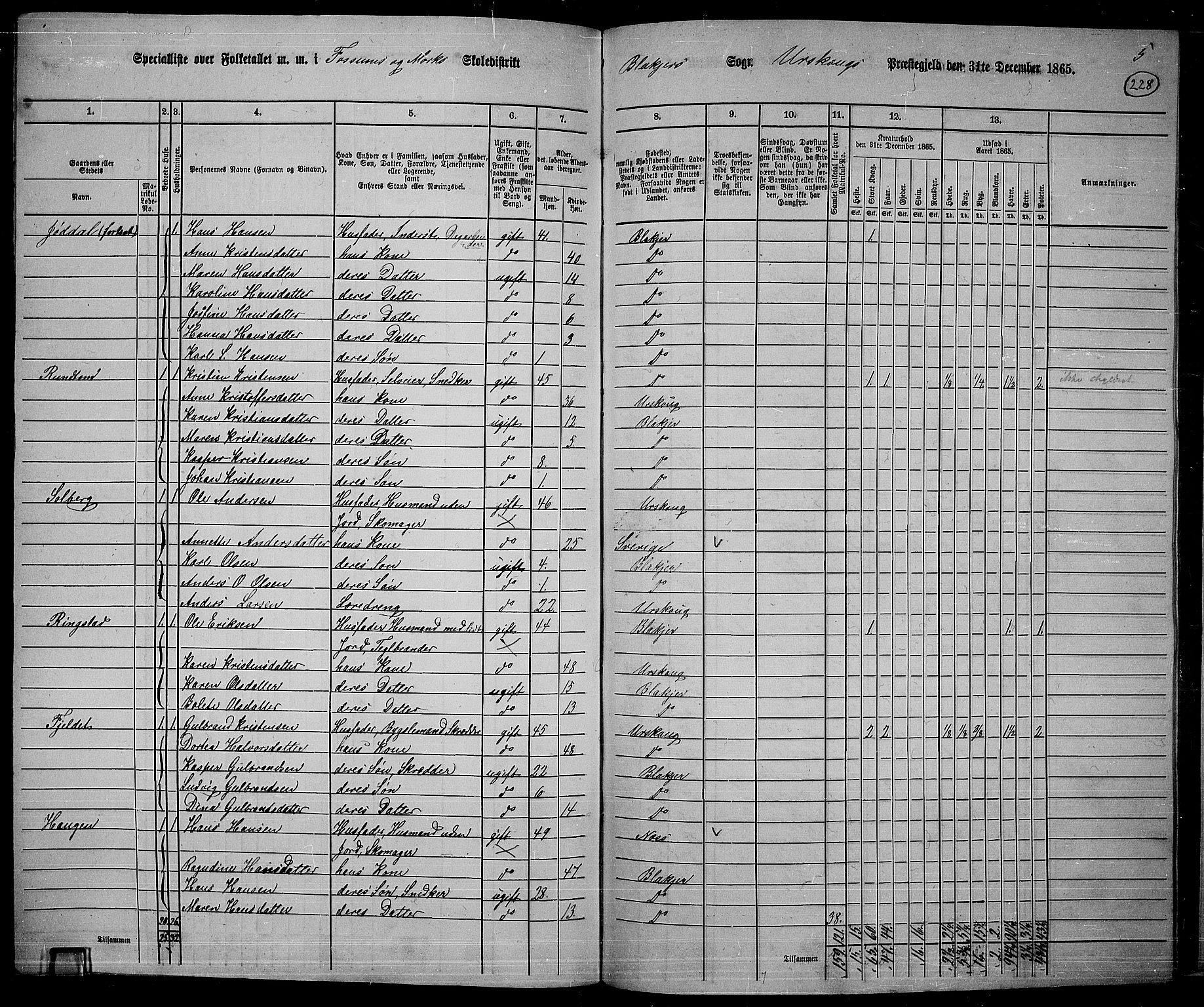 RA, 1865 census for Aurskog, 1865, p. 206