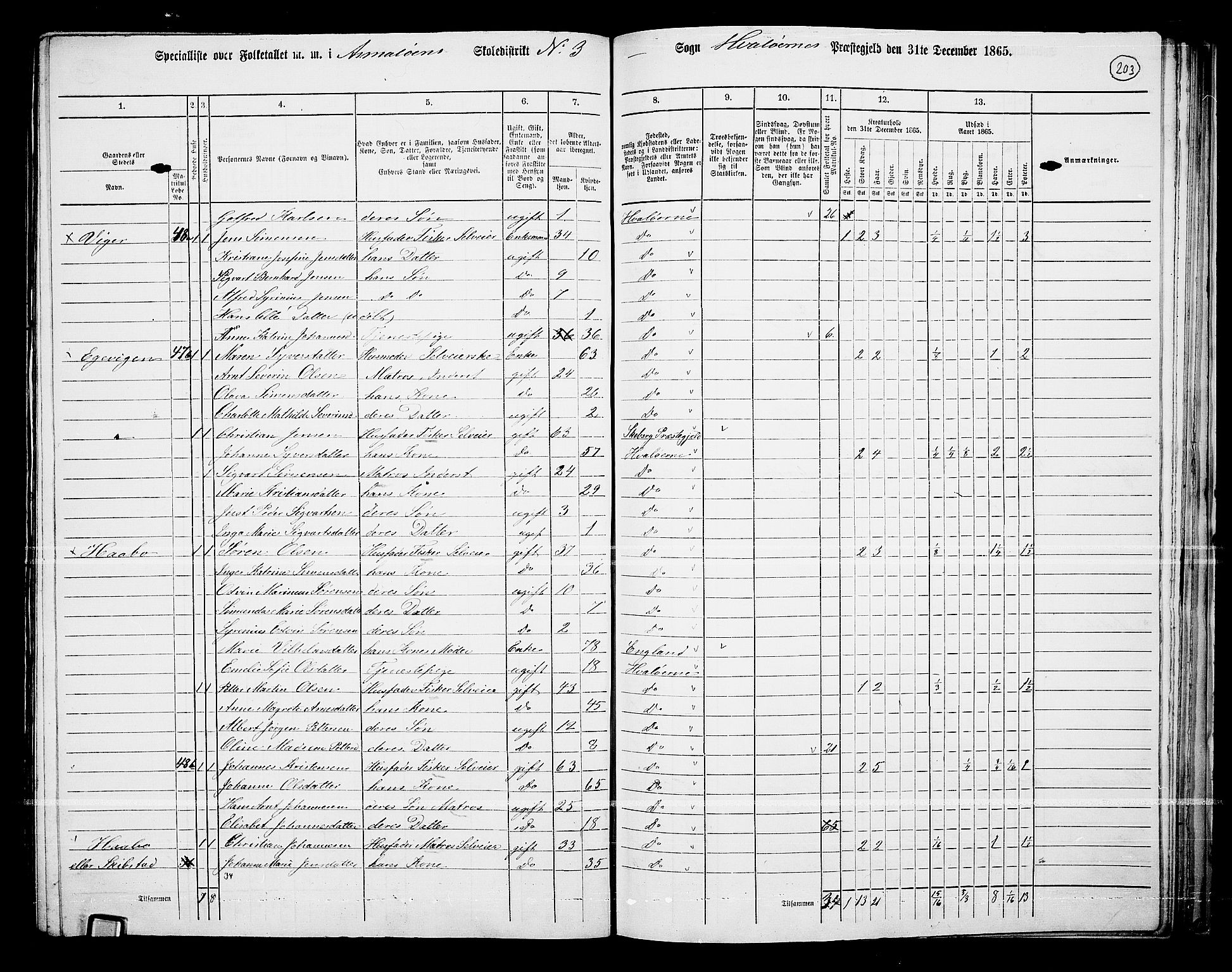 RA, 1865 census for Hvaler, 1865, p. 43