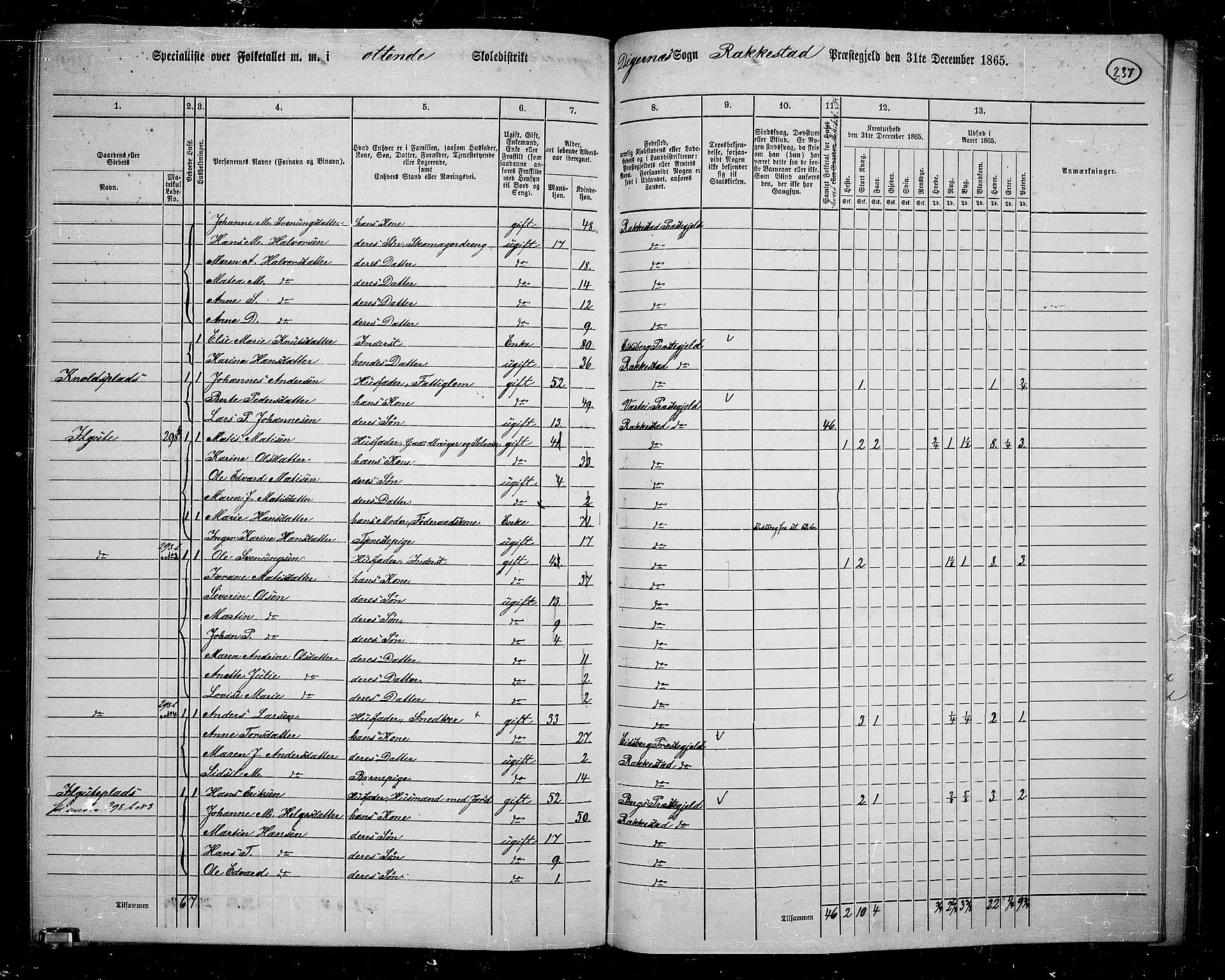 RA, 1865 census for Rakkestad, 1865, p. 228