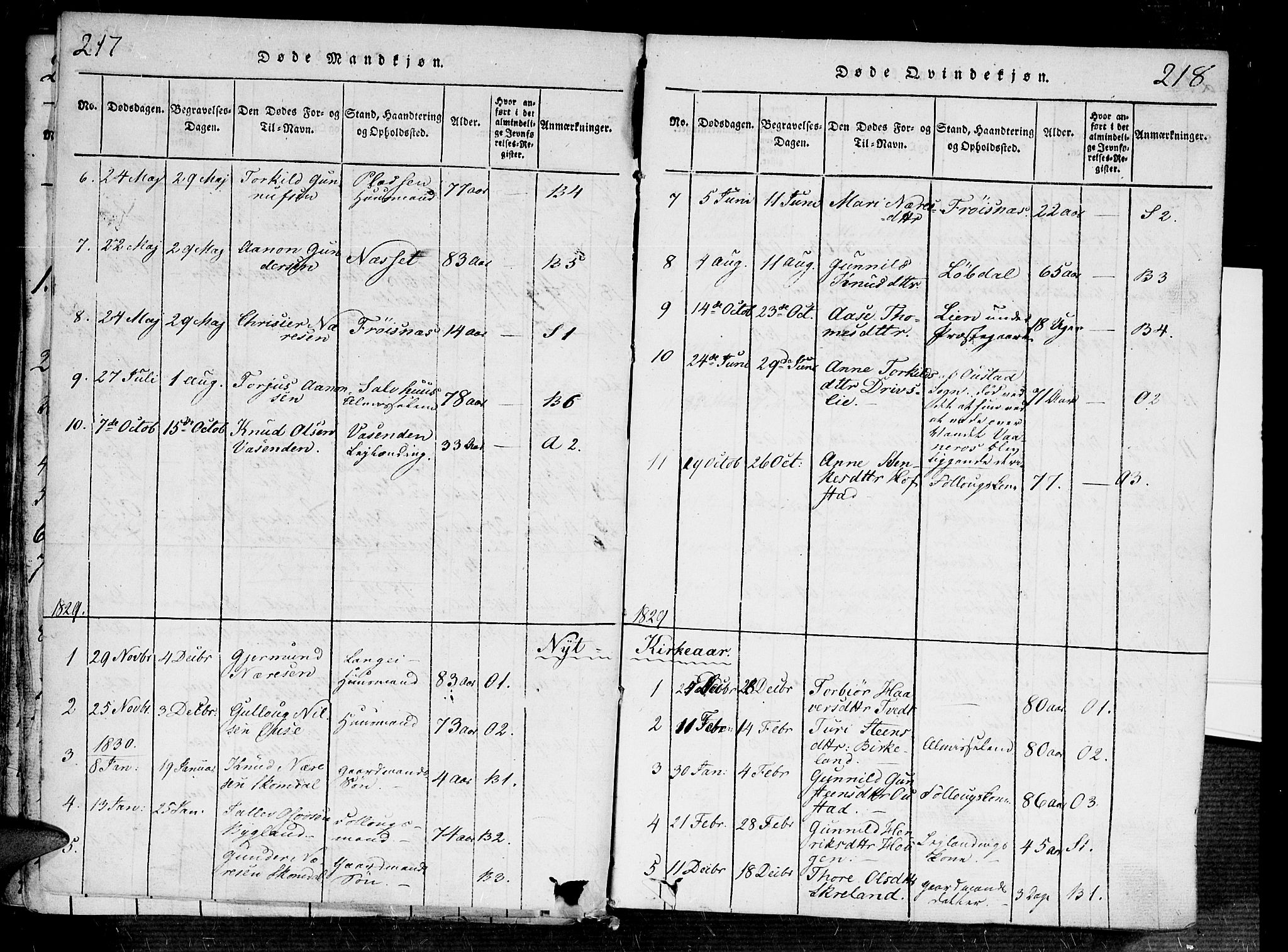 Bygland sokneprestkontor, SAK/1111-0006/F/Fa/Fab/L0003: Parish register (official) no. A 3, 1816-1841, p. 217-218