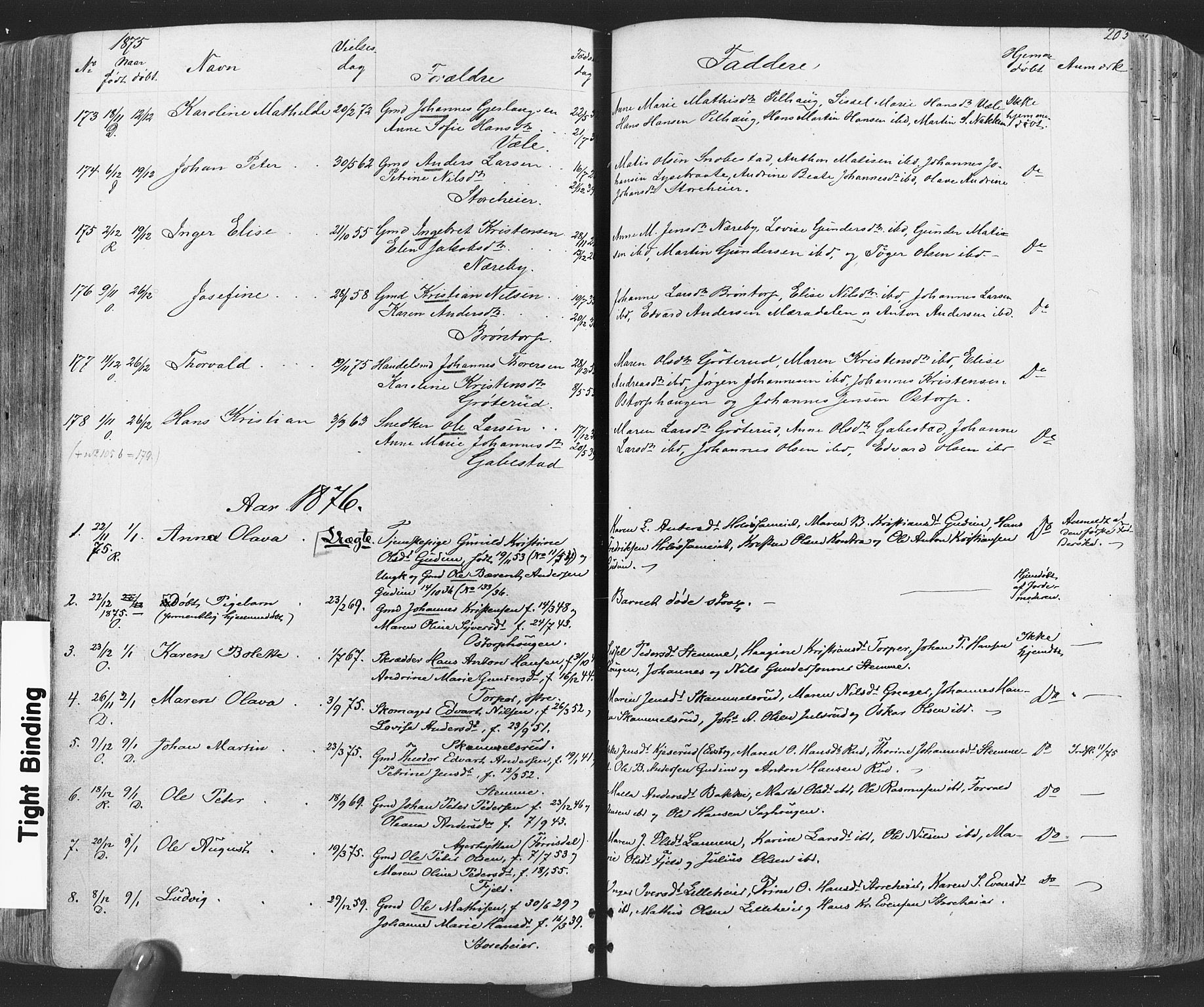 Rakkestad prestekontor Kirkebøker, SAO/A-2008/F/Fa/L0011: Parish register (official) no. I 11, 1862-1877, p. 203