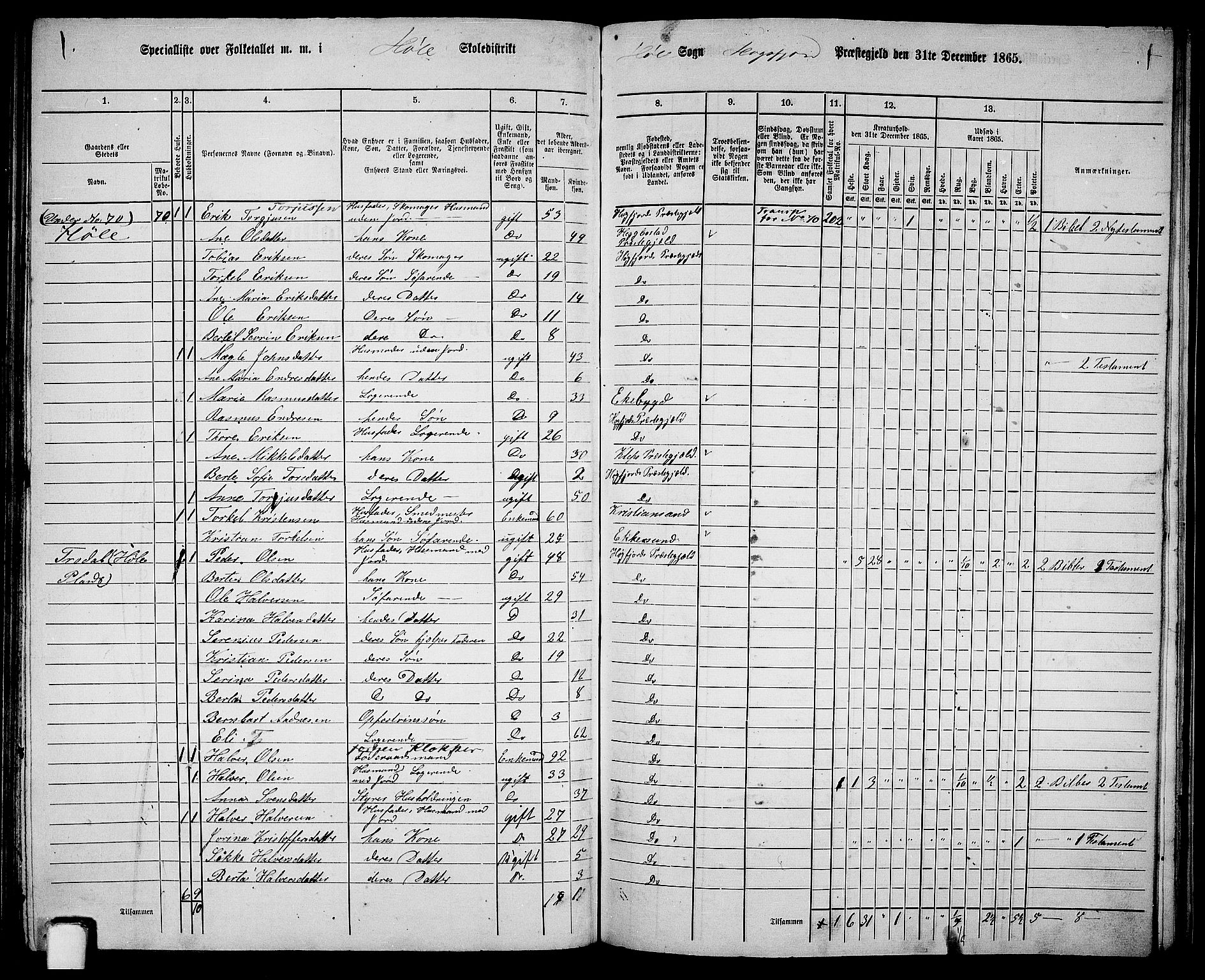 RA, 1865 census for Høgsfjord, 1865, p. 111