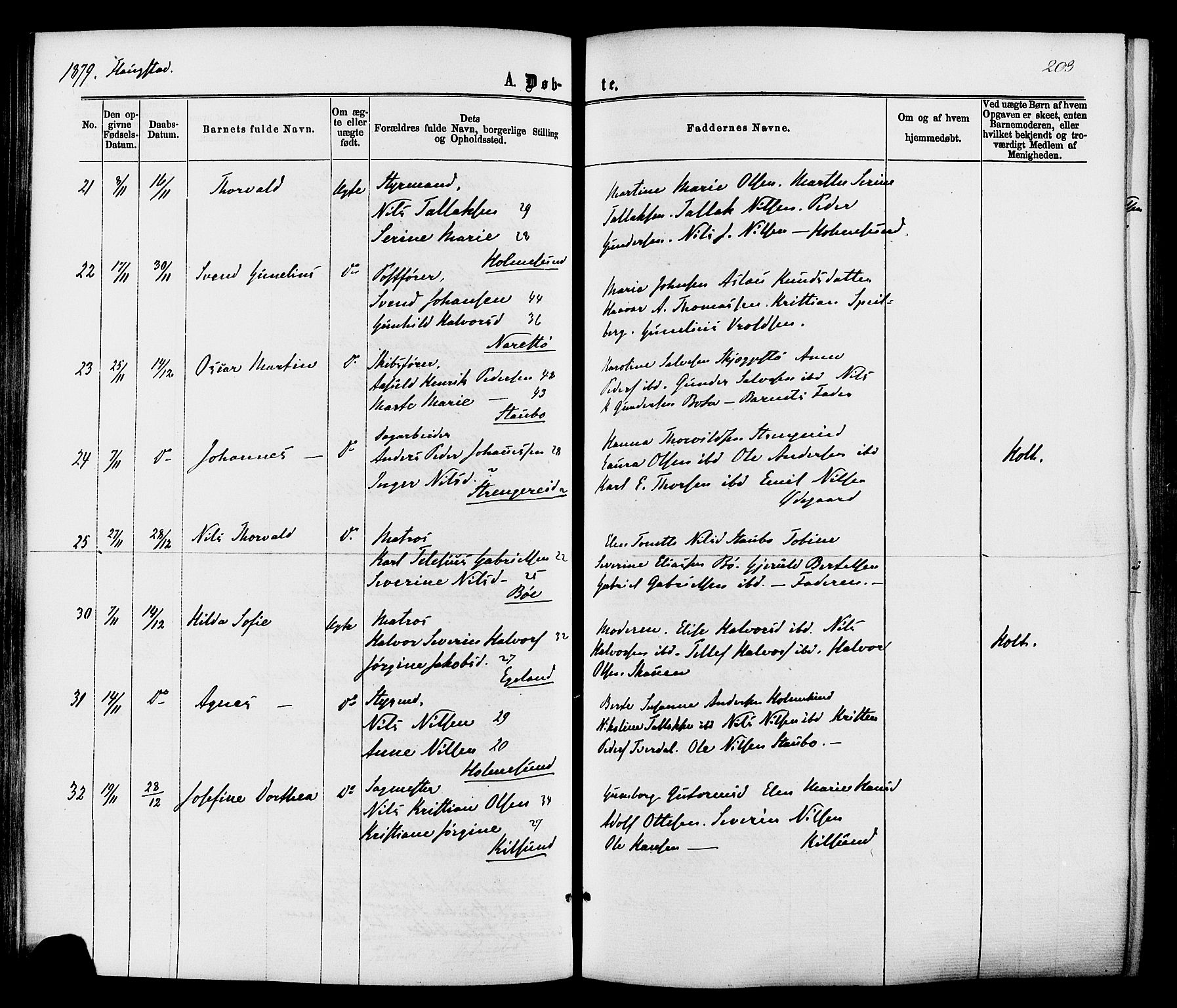 Dypvåg sokneprestkontor, SAK/1111-0007/F/Fa/Faa/L0007: Parish register (official) no. A 7 /2, 1877-1884, p. 203